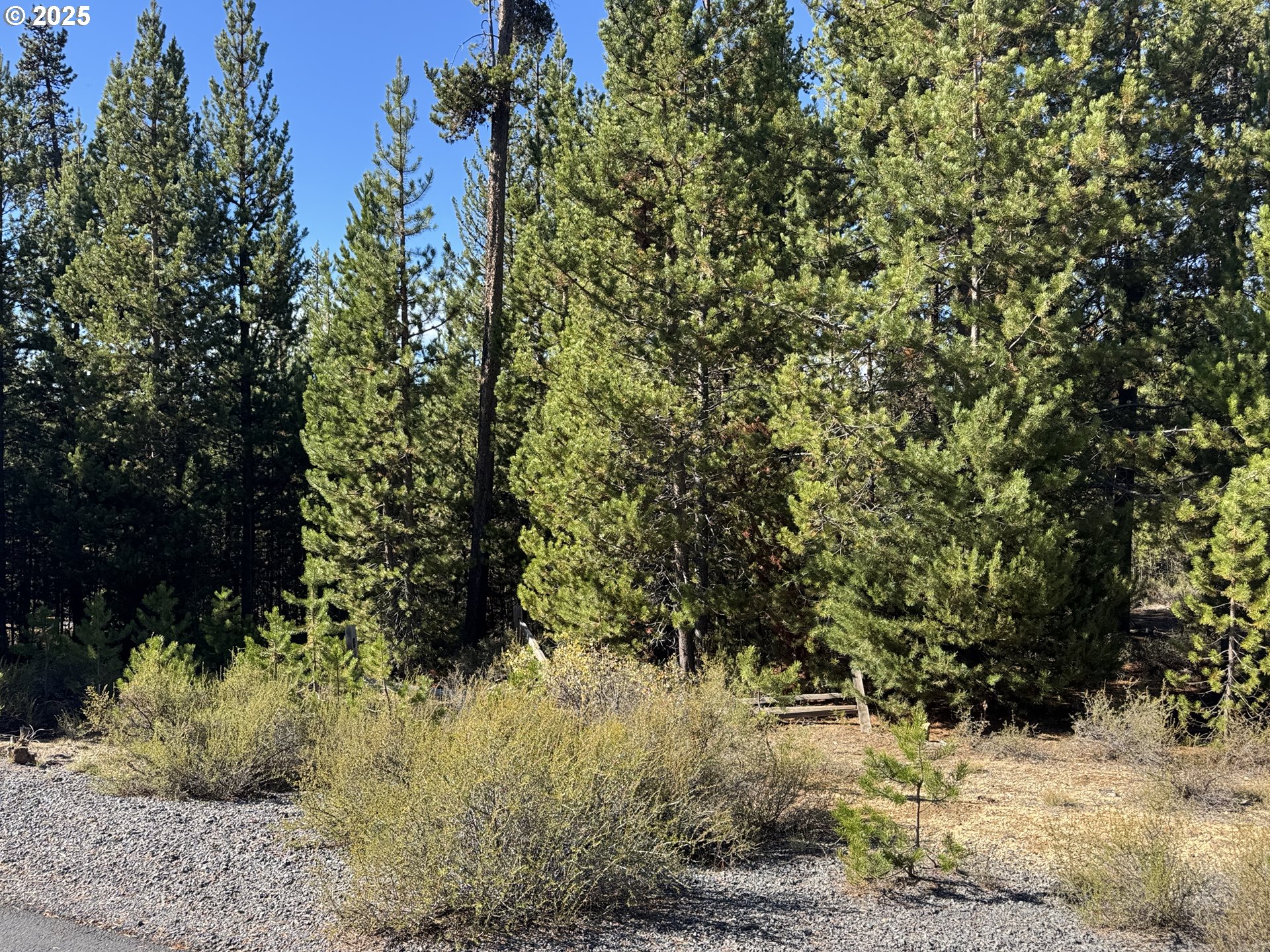 Crescent Moon Drive UNIT 29, Crescent Lake, OR, 97733