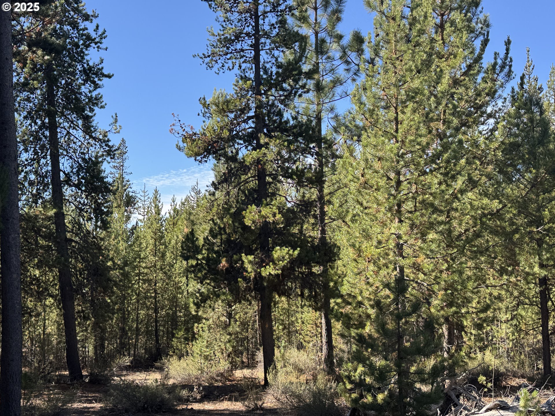 Crescent Moon Drive UNIT 29, Crescent Lake, OR, 97733