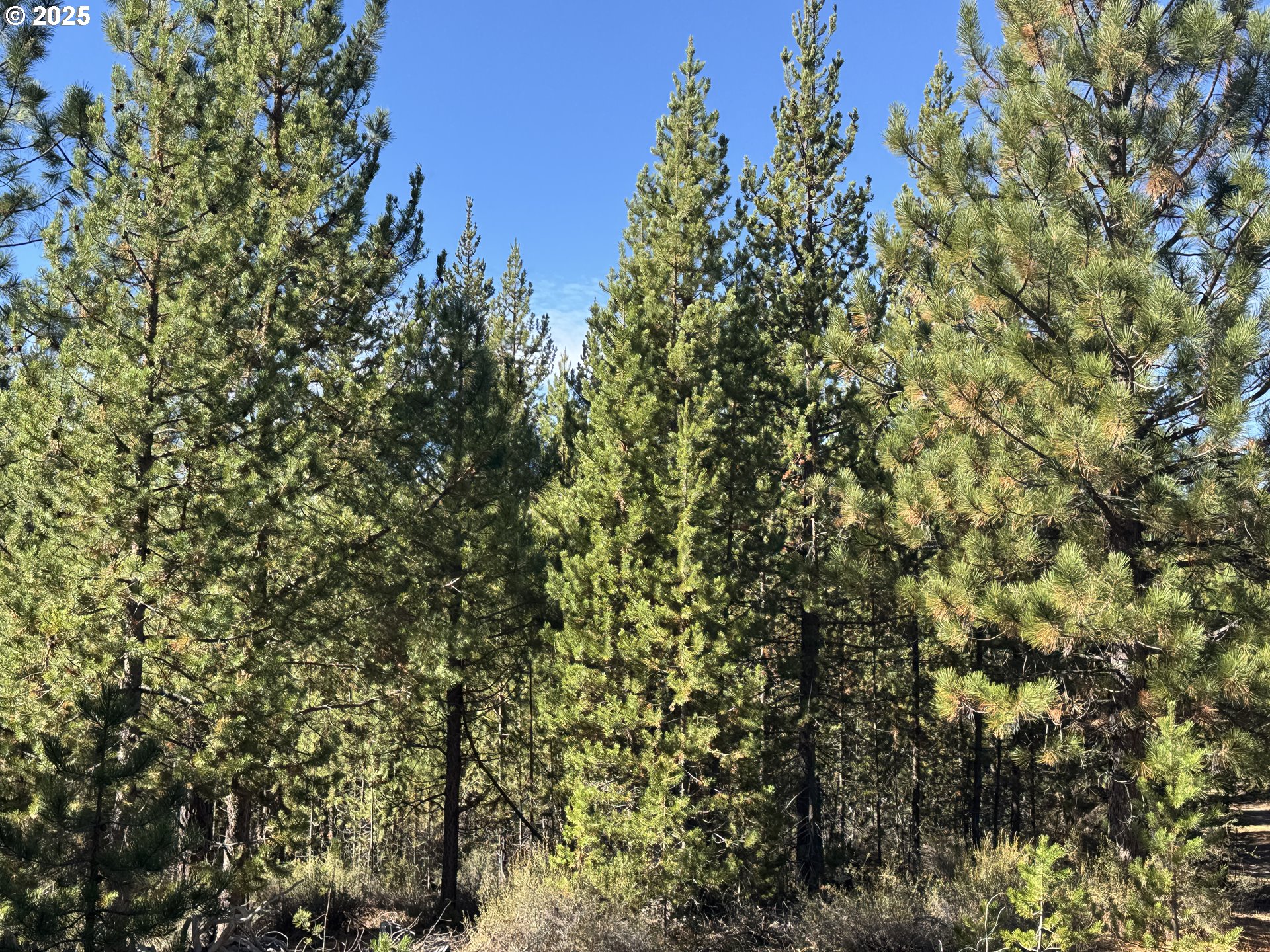 Crescent Moon Drive UNIT 29, Crescent Lake, OR, 97733