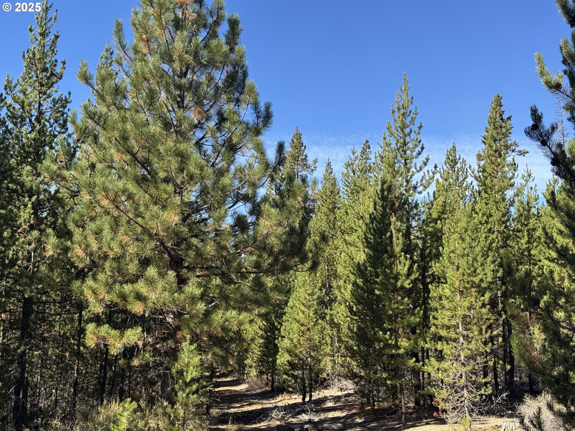 Crescent Moon Drive UNIT 29, Crescent Lake, OR, 97733