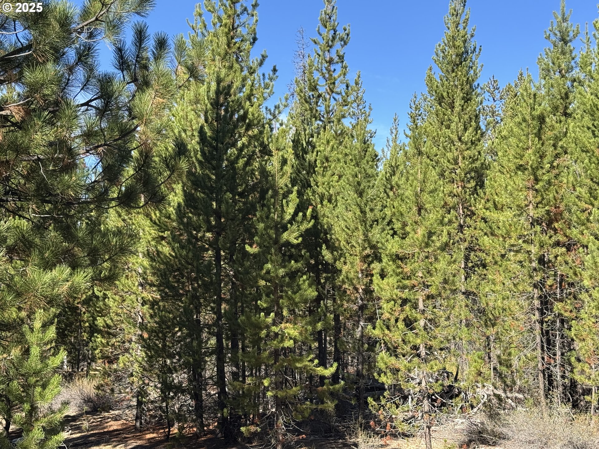 Crescent Moon Drive UNIT 29, Crescent Lake, OR, 97733