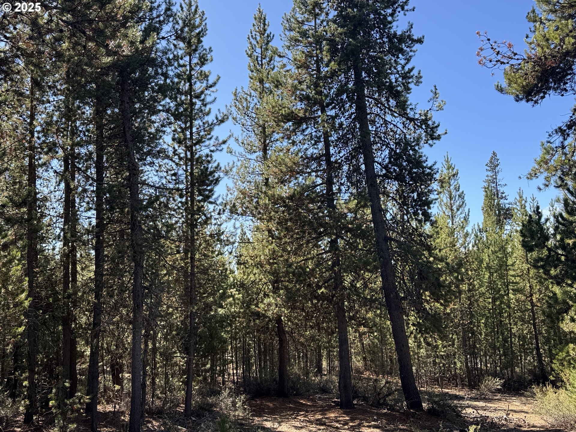 Crescent Moon Drive UNIT 29, Crescent Lake, OR, 97733