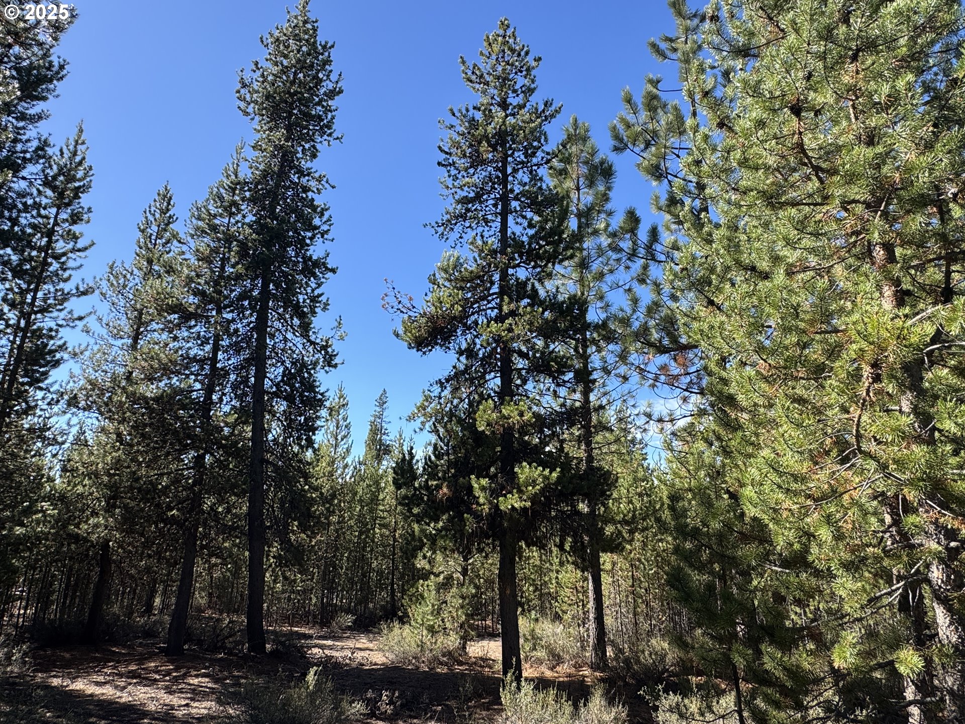 Crescent Moon Drive UNIT 29, Crescent Lake, OR, 97733