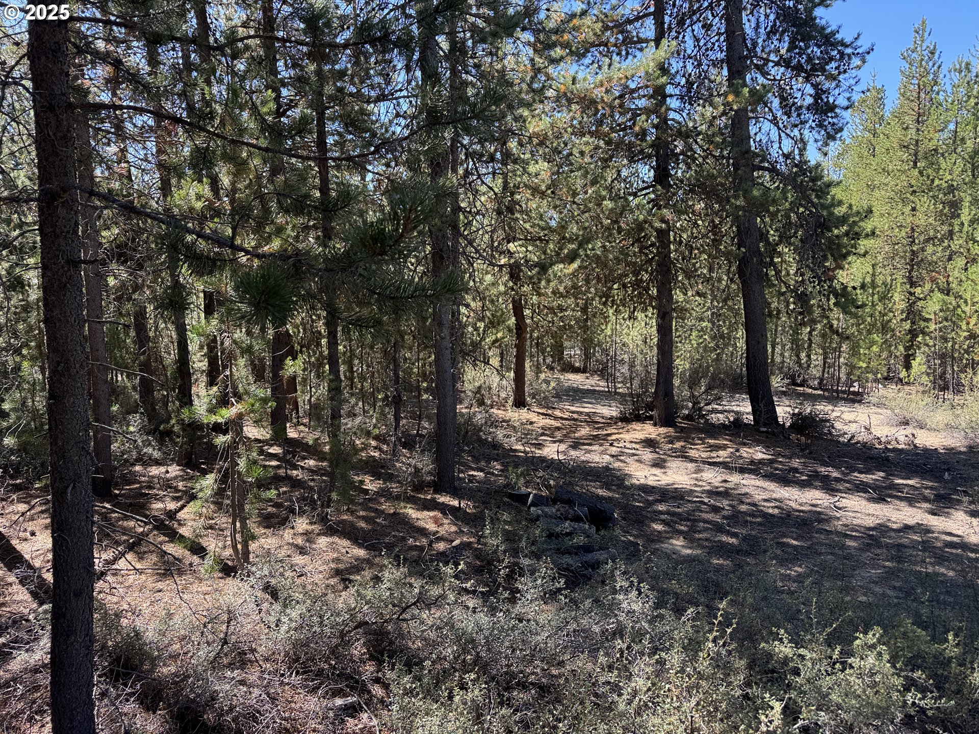 Crescent Moon Drive UNIT 29, Crescent Lake, OR, 97733