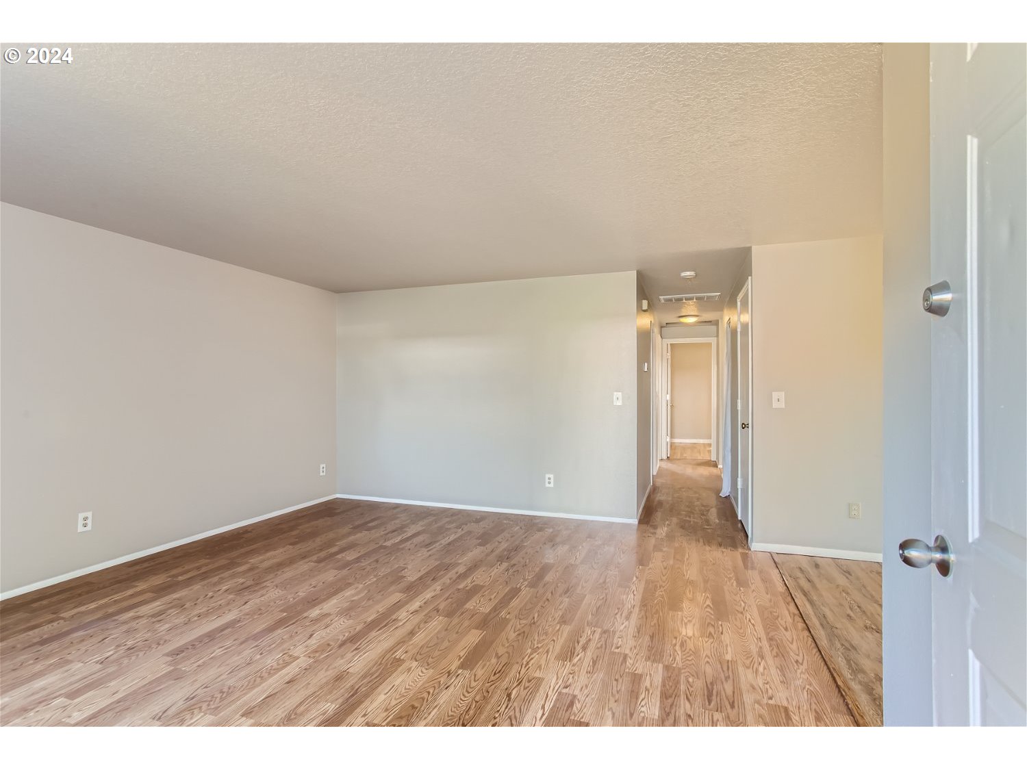 Living Room/Entrance