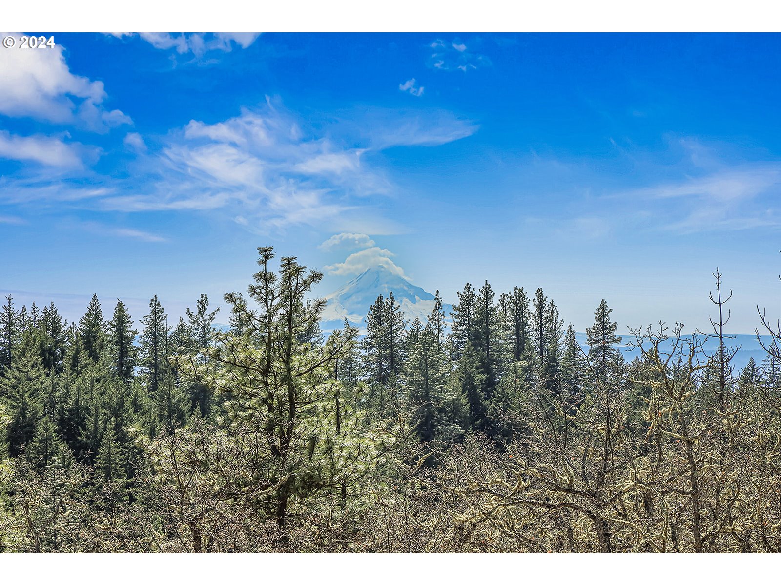 Search Homes for Sale