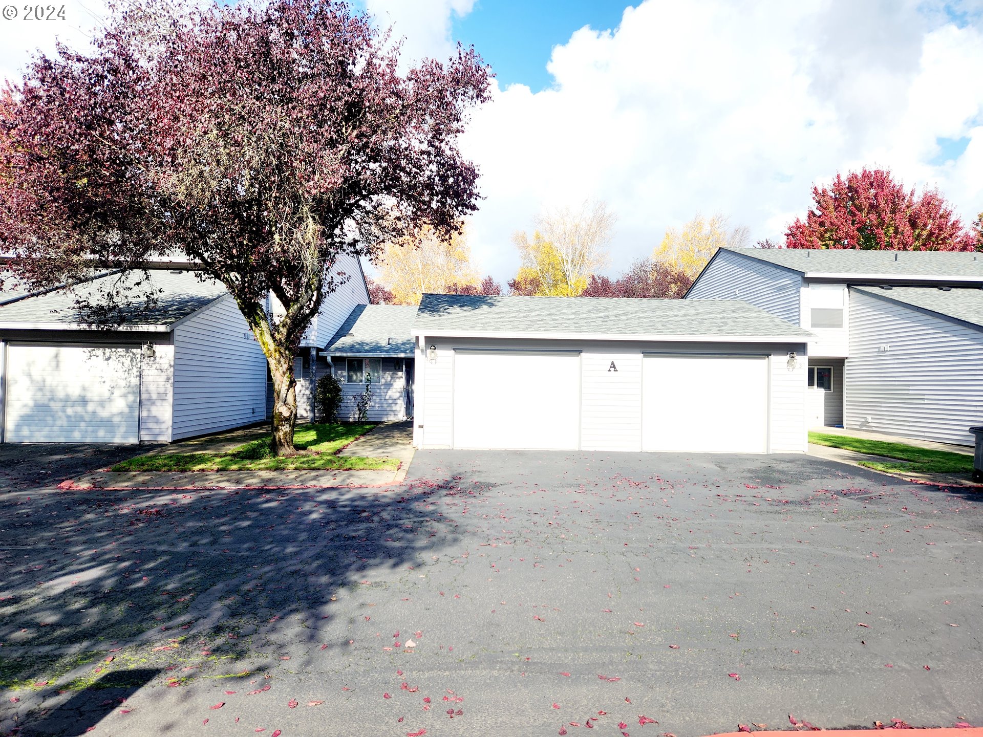 Photo #2: 24137394 Listing 