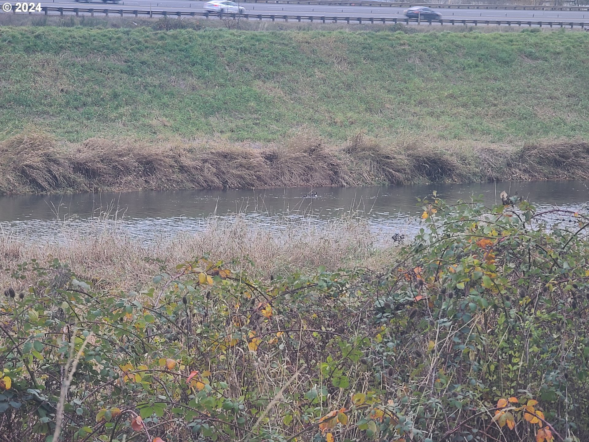 Search Homes for Sale