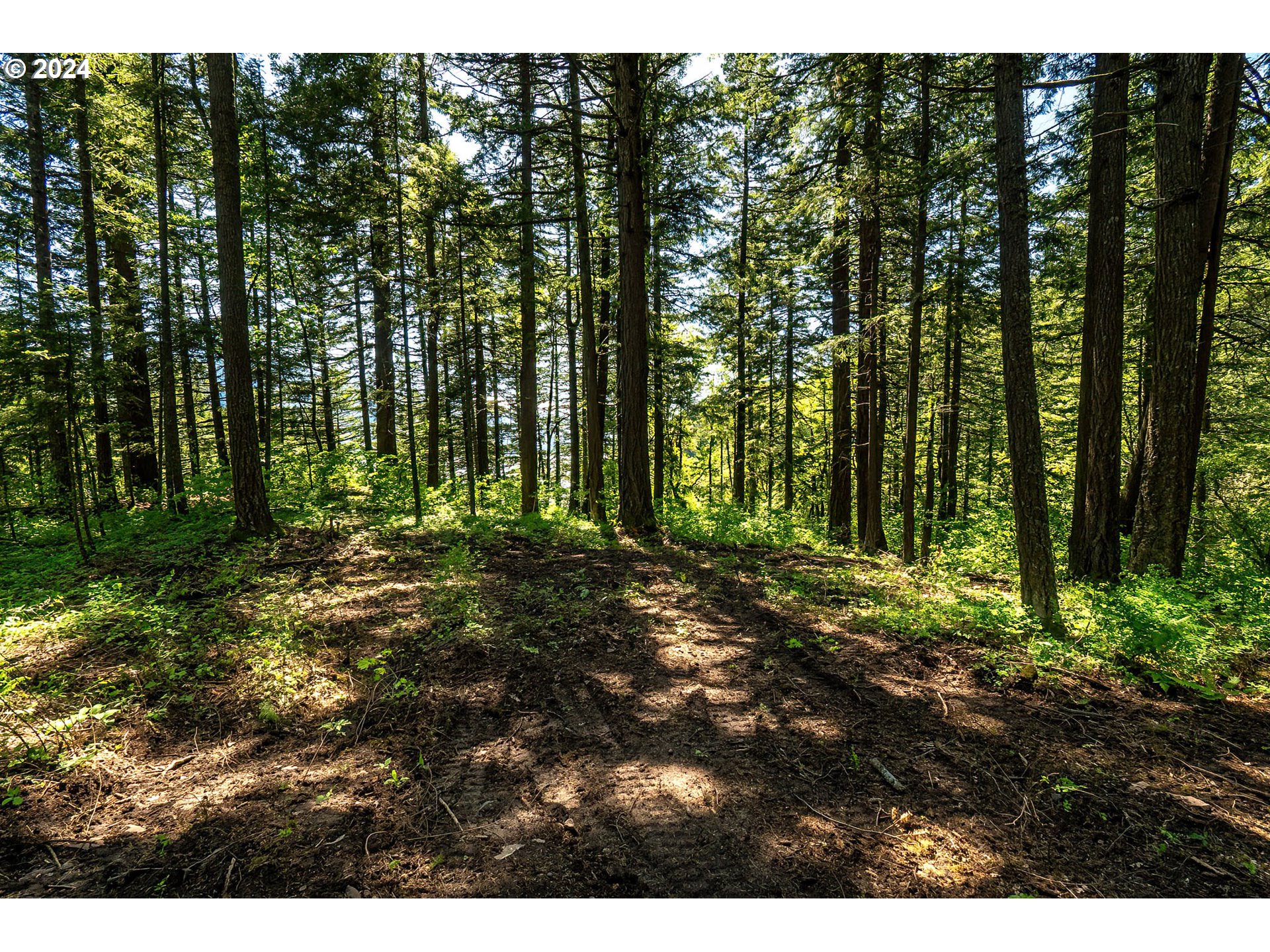  Sprague Landing Road  #Lot 2, Stevenson, WA 98648