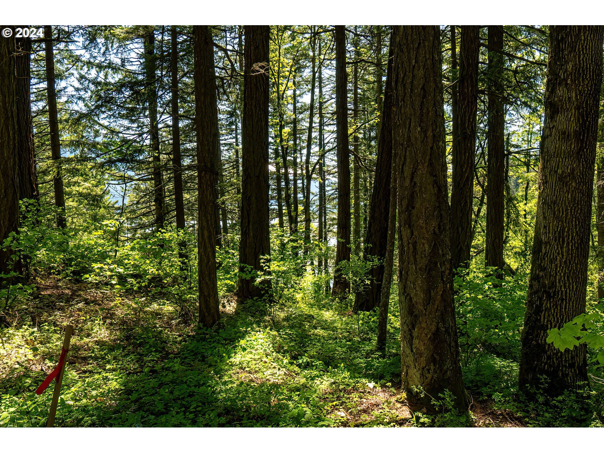  Sprague Landing Road  #Lot 2, Stevenson, WA 98648