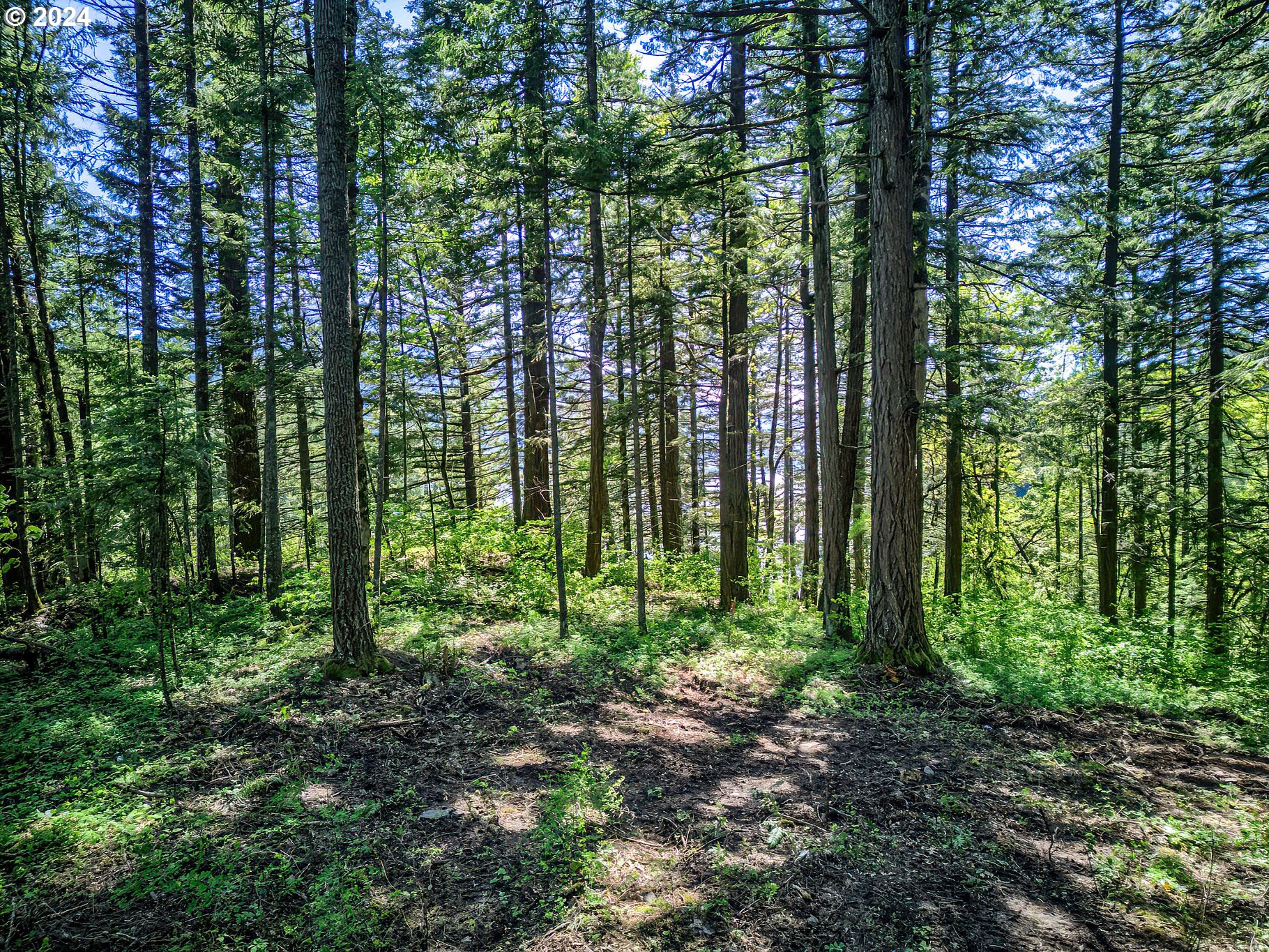  Sprague Landing Road  #Lot 2, Stevenson, WA 98648