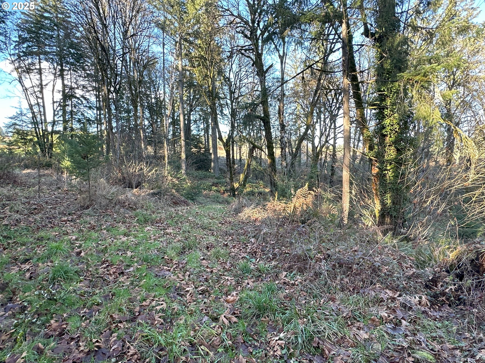 Homes on Acreage