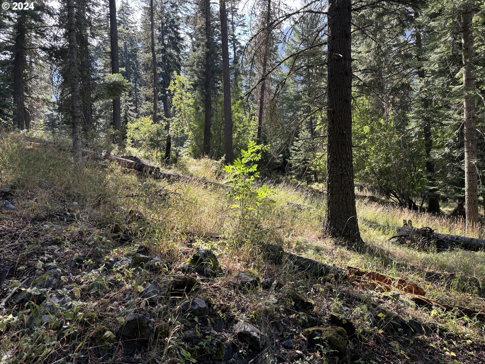 Photo of BESKE LN Wallowa Lake OR 97846