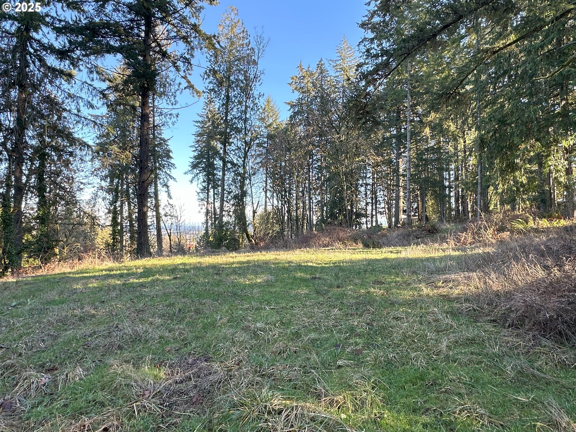Homes on Acreage