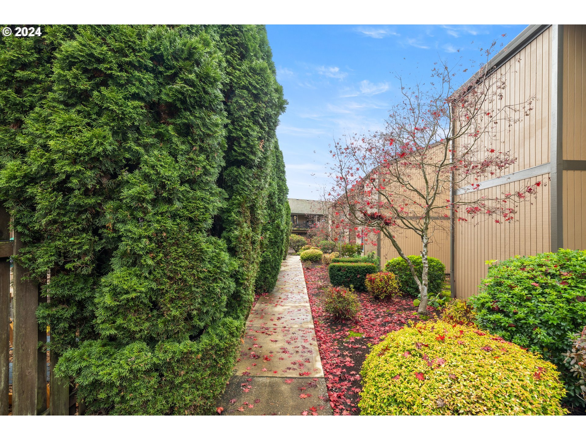 Photo #2: 24184014 Listing 