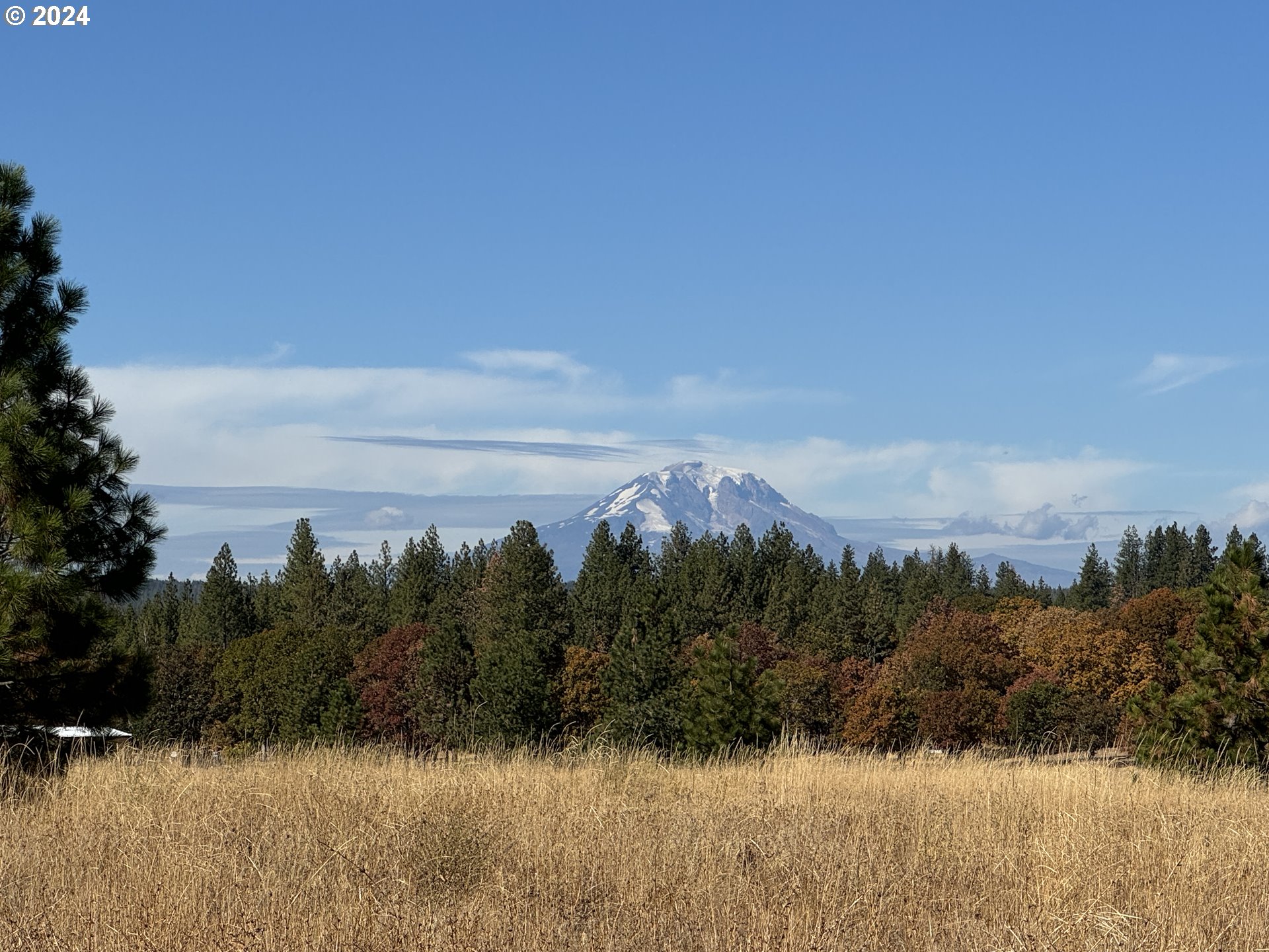 Photo of MT VIEW RANCH Goldendale WA 98620