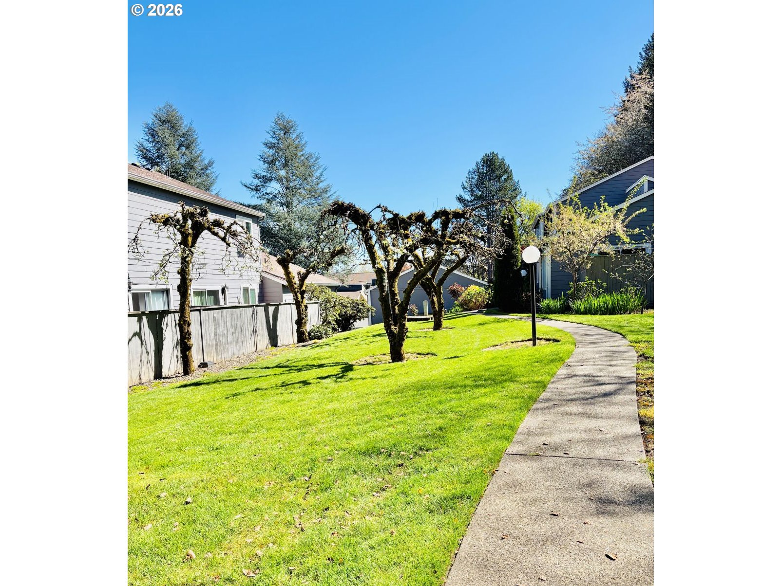 Photo #14: 242041806 Listing: Photo #14