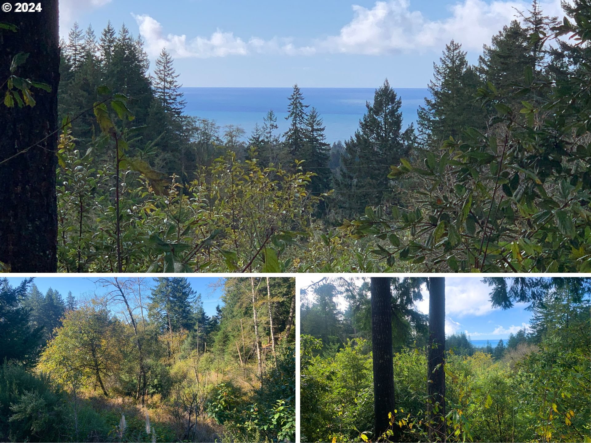 Duley Creek UNIT 501/503, Brookings, OR, 97415