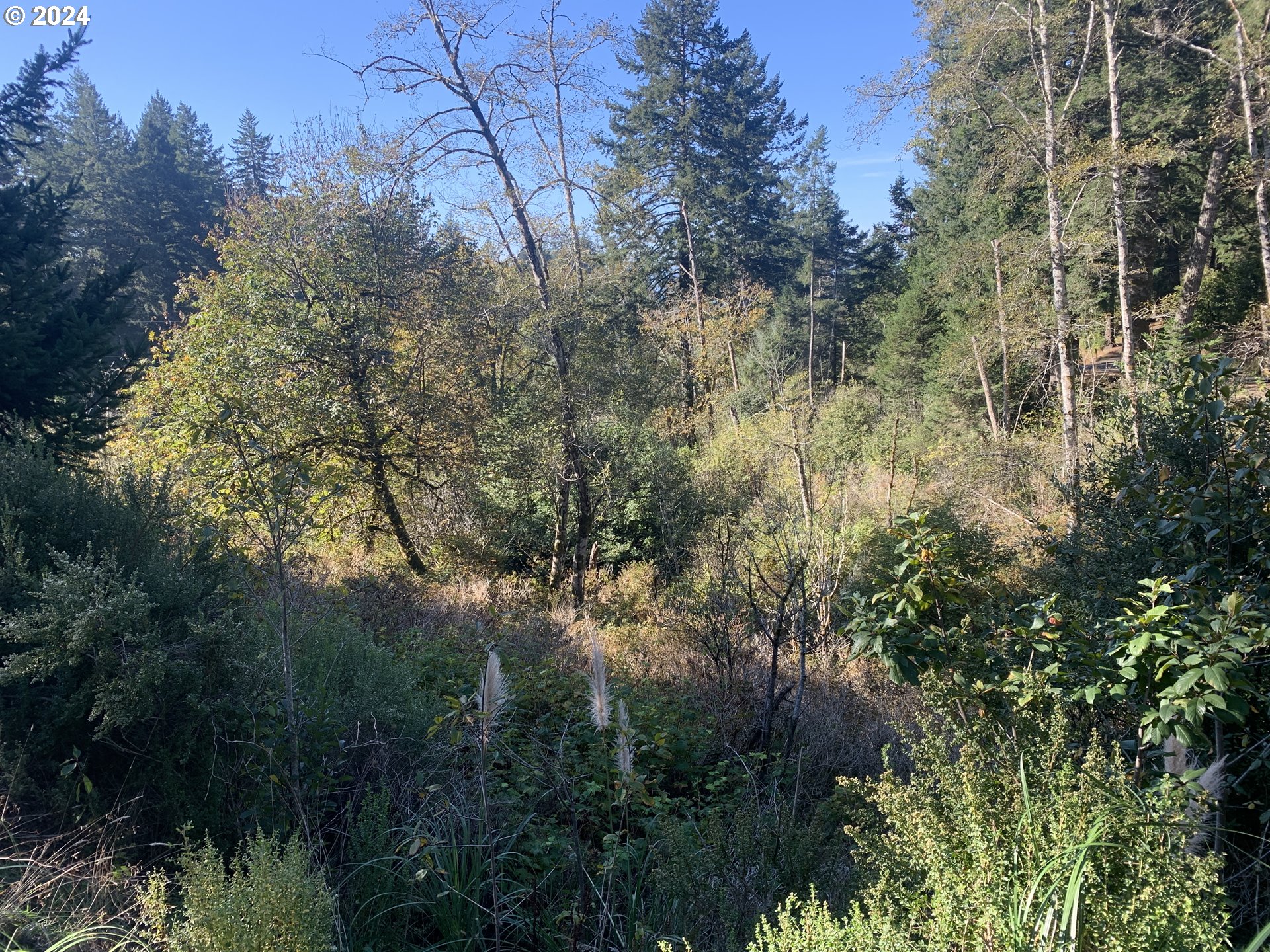 Duley Creek UNIT 501/503, Brookings, OR, 97415