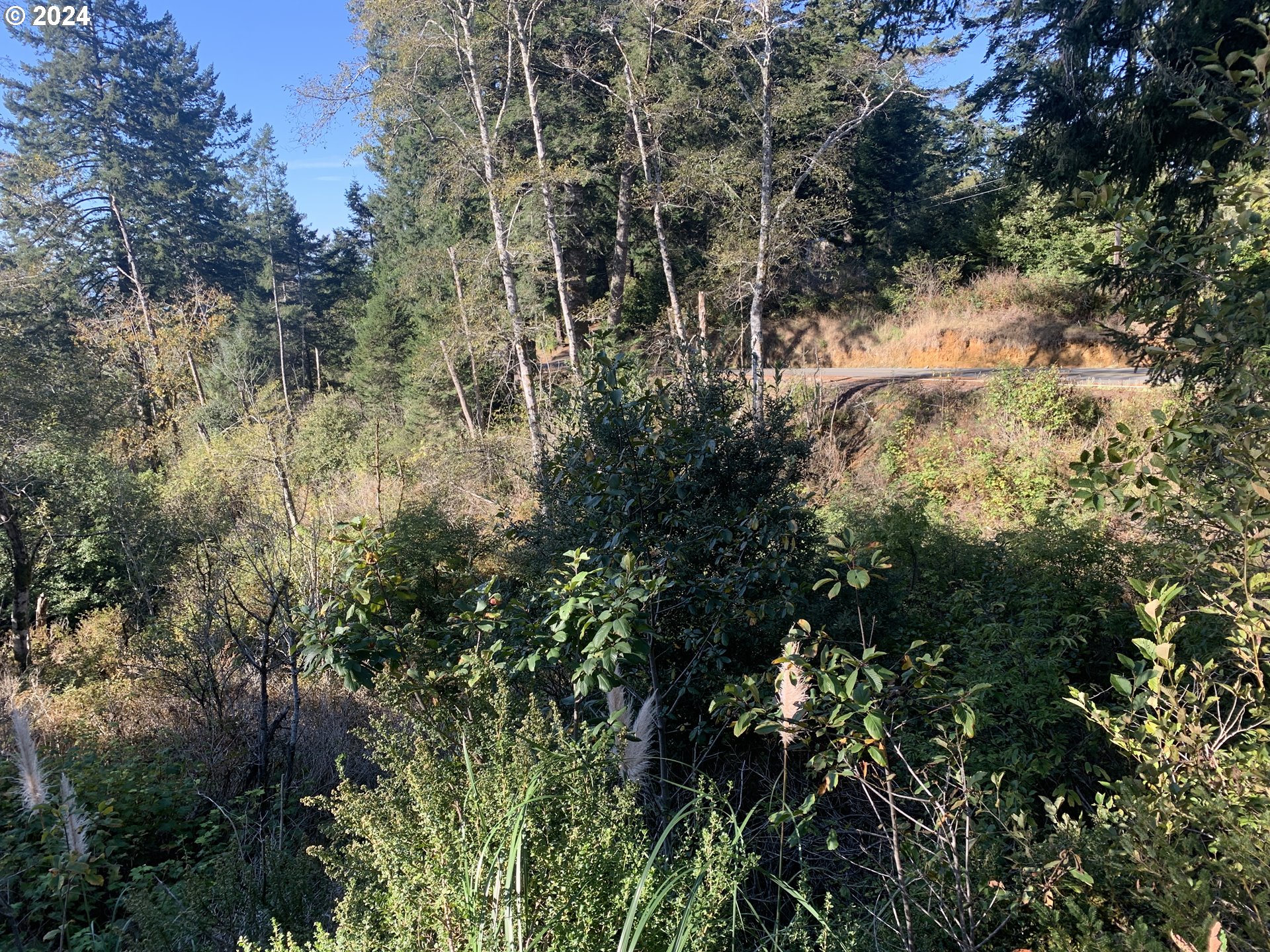 Duley Creek UNIT 501/503, Brookings, OR, 97415