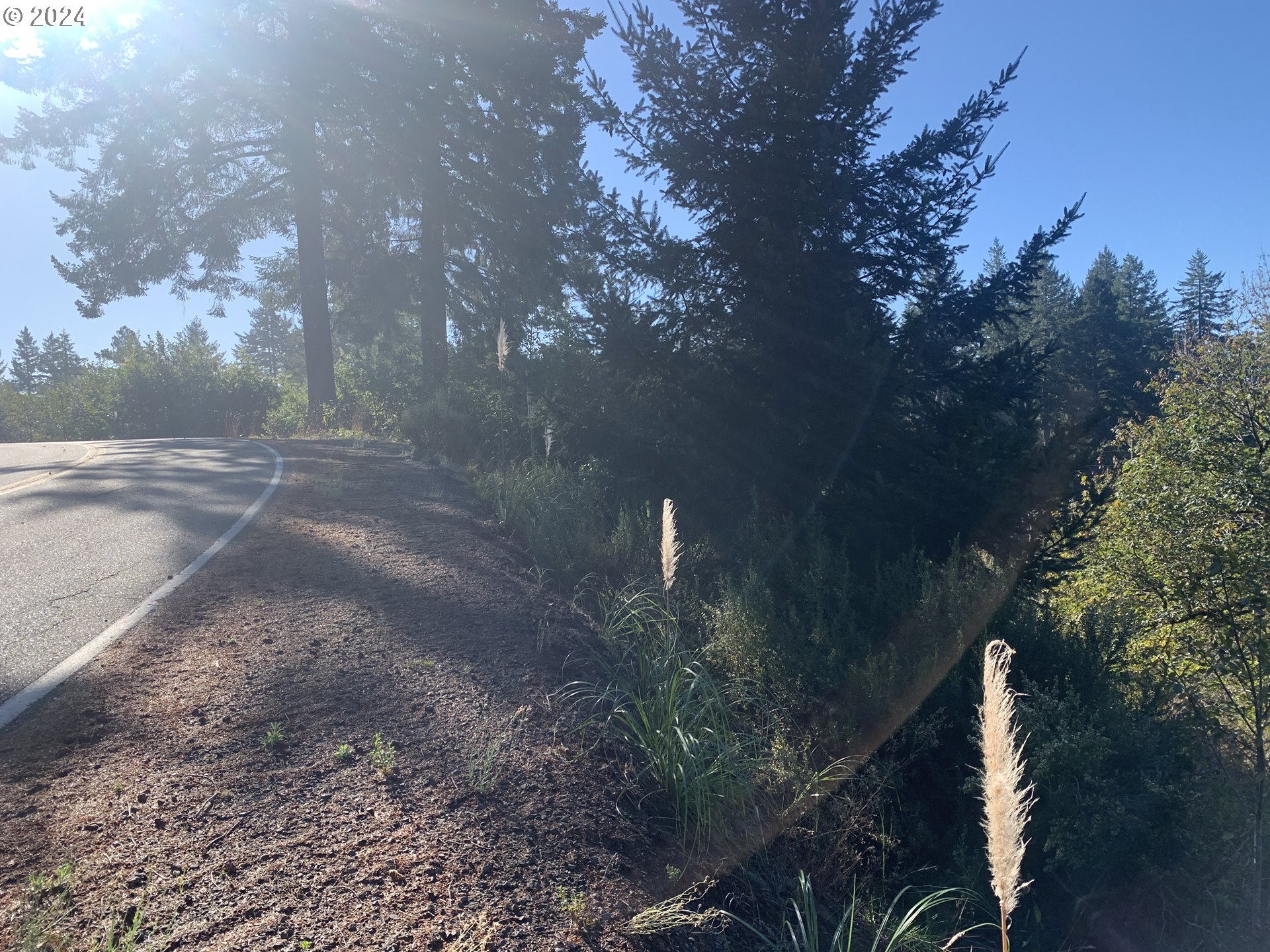 Duley Creek UNIT 501/503, Brookings, OR, 97415