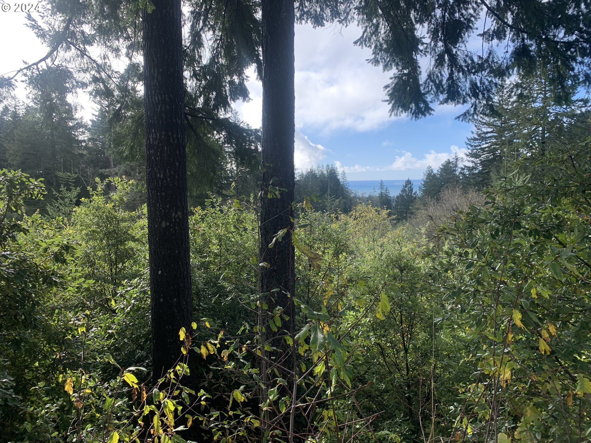 Duley Creek UNIT 501/503, Brookings, OR, 97415
