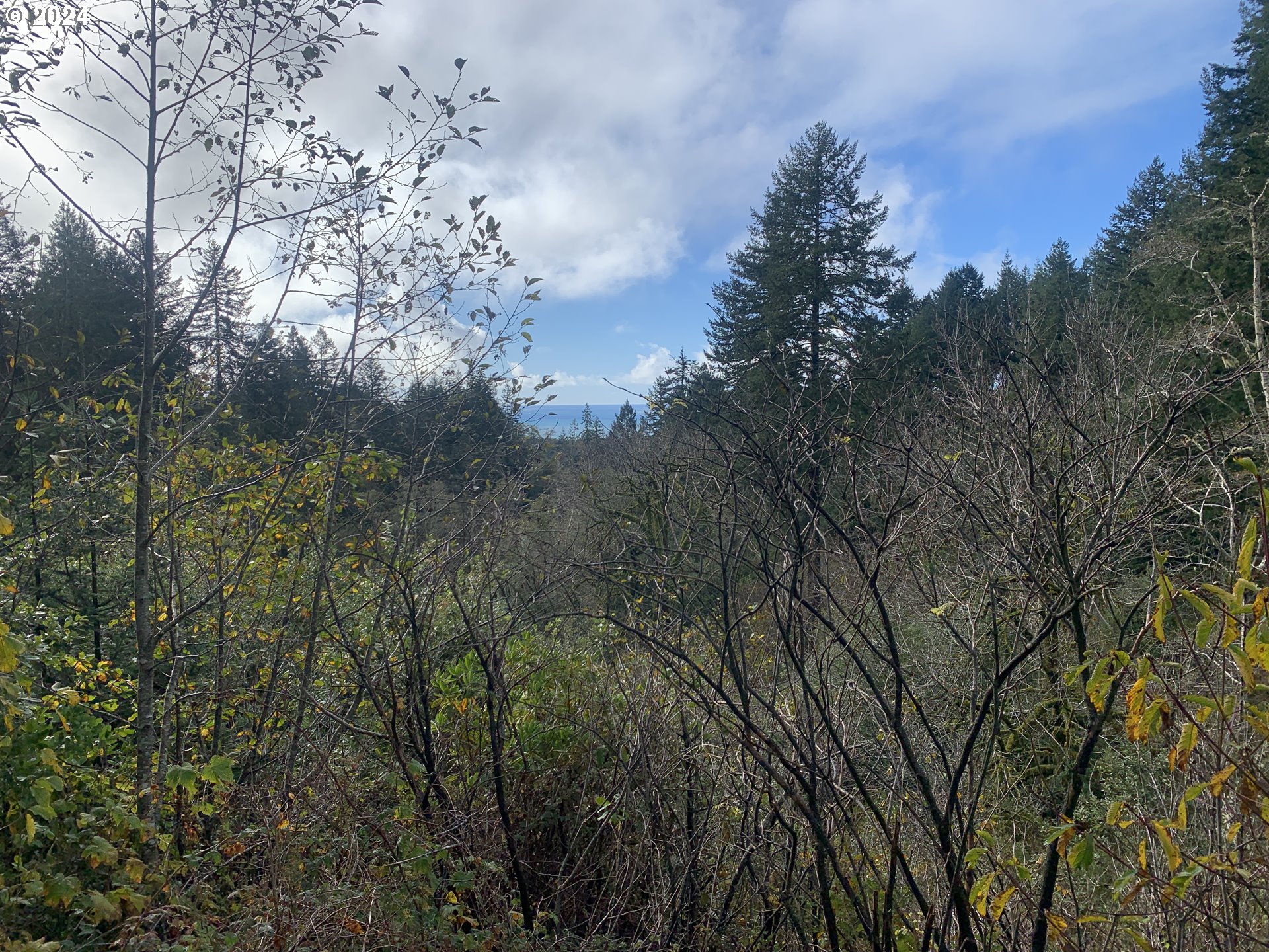 Duley Creek UNIT 501/503, Brookings, OR, 97415