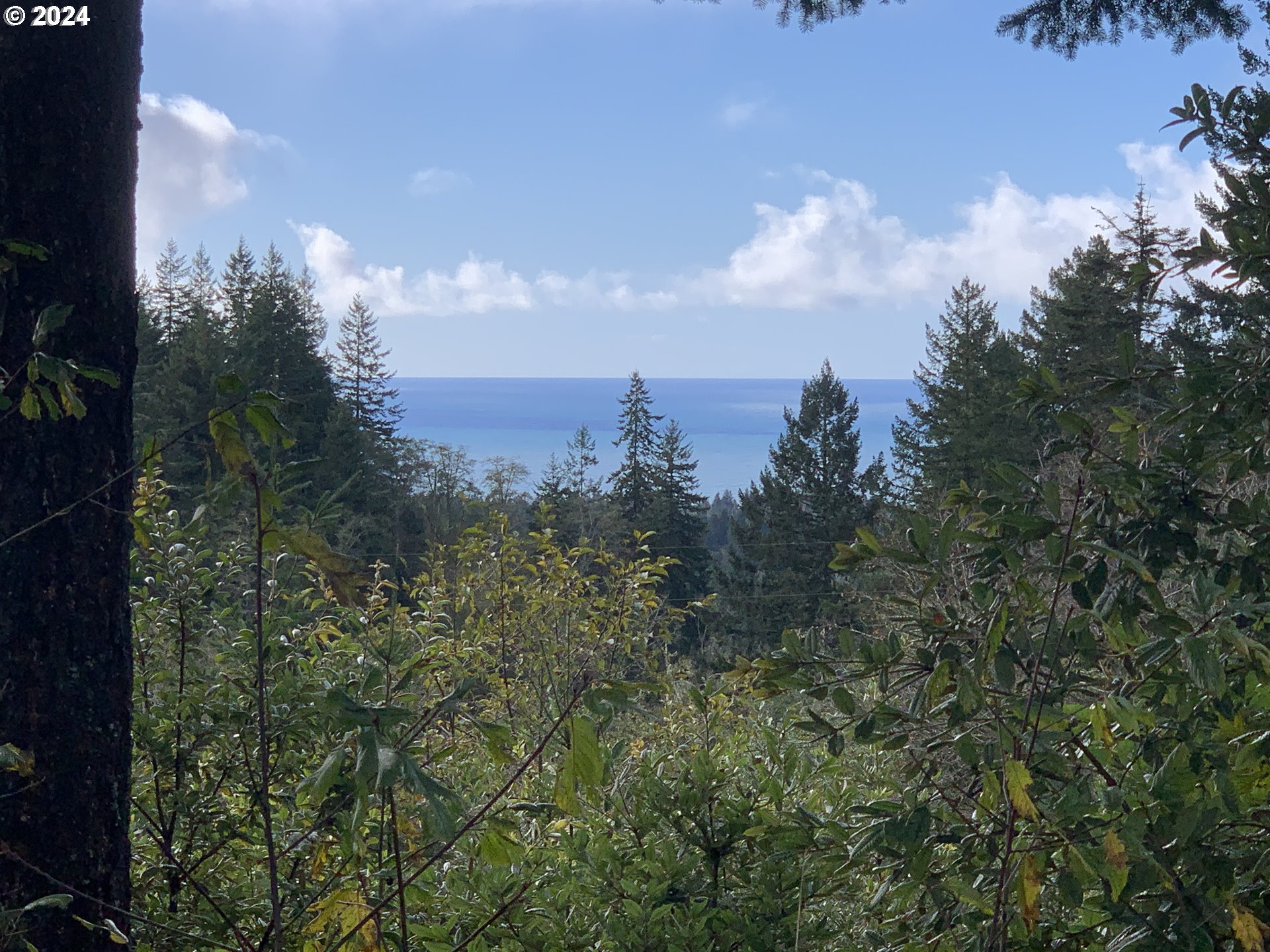 Duley Creek UNIT 501/503, Brookings, OR, 97415
