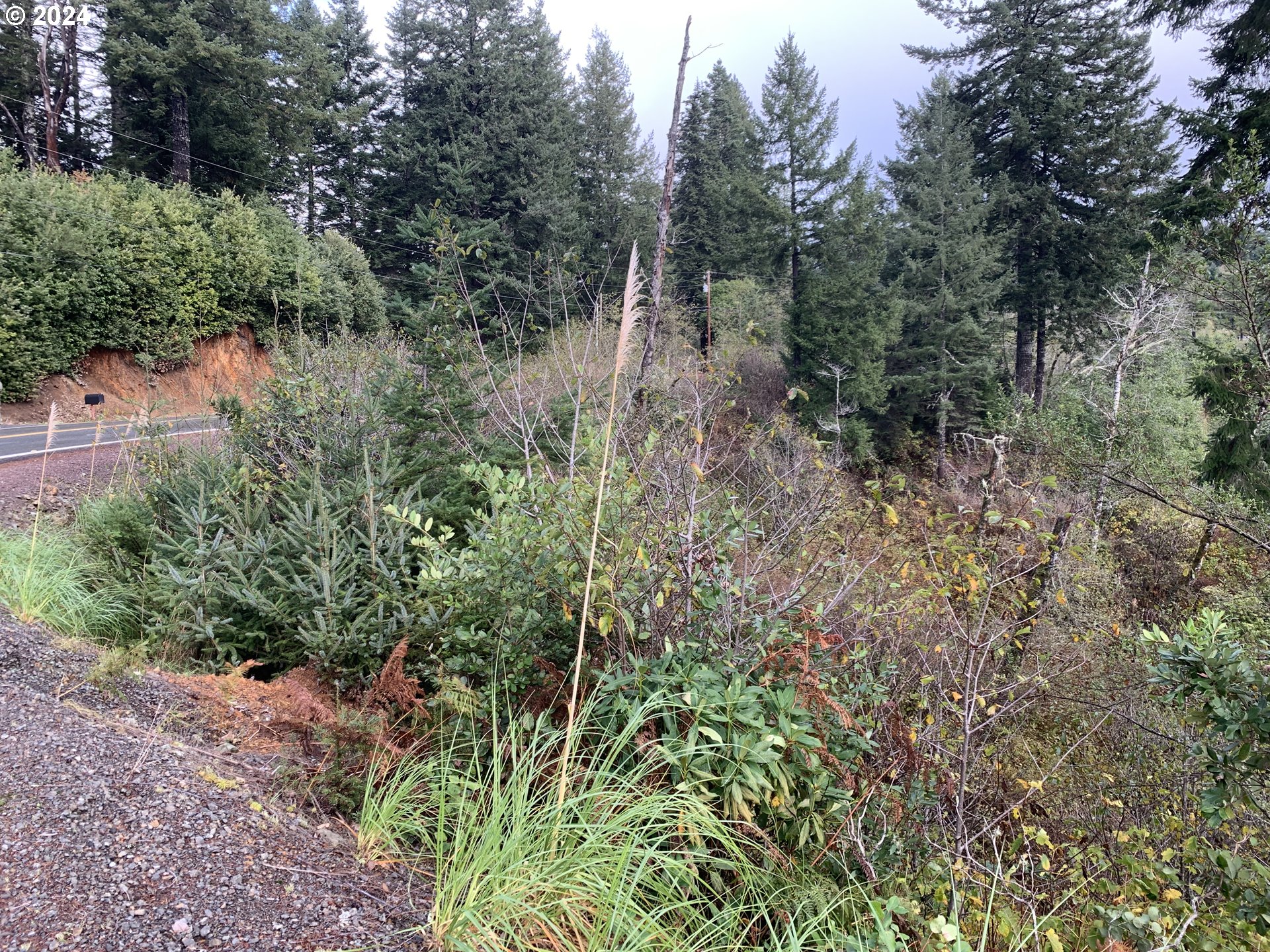 Duley Creek UNIT 501/503, Brookings, OR, 97415
