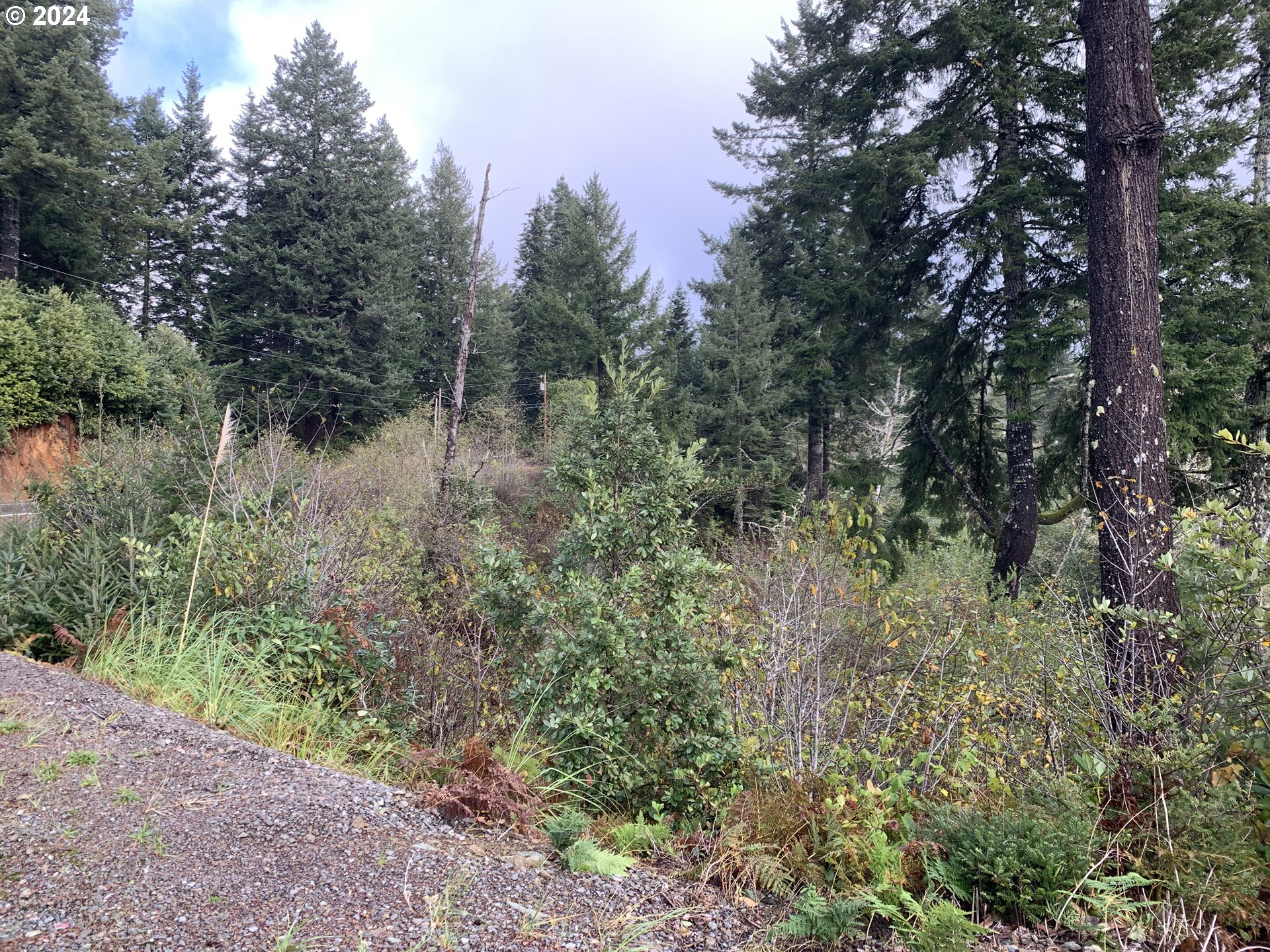 Duley Creek UNIT 501/503, Brookings, OR, 97415
