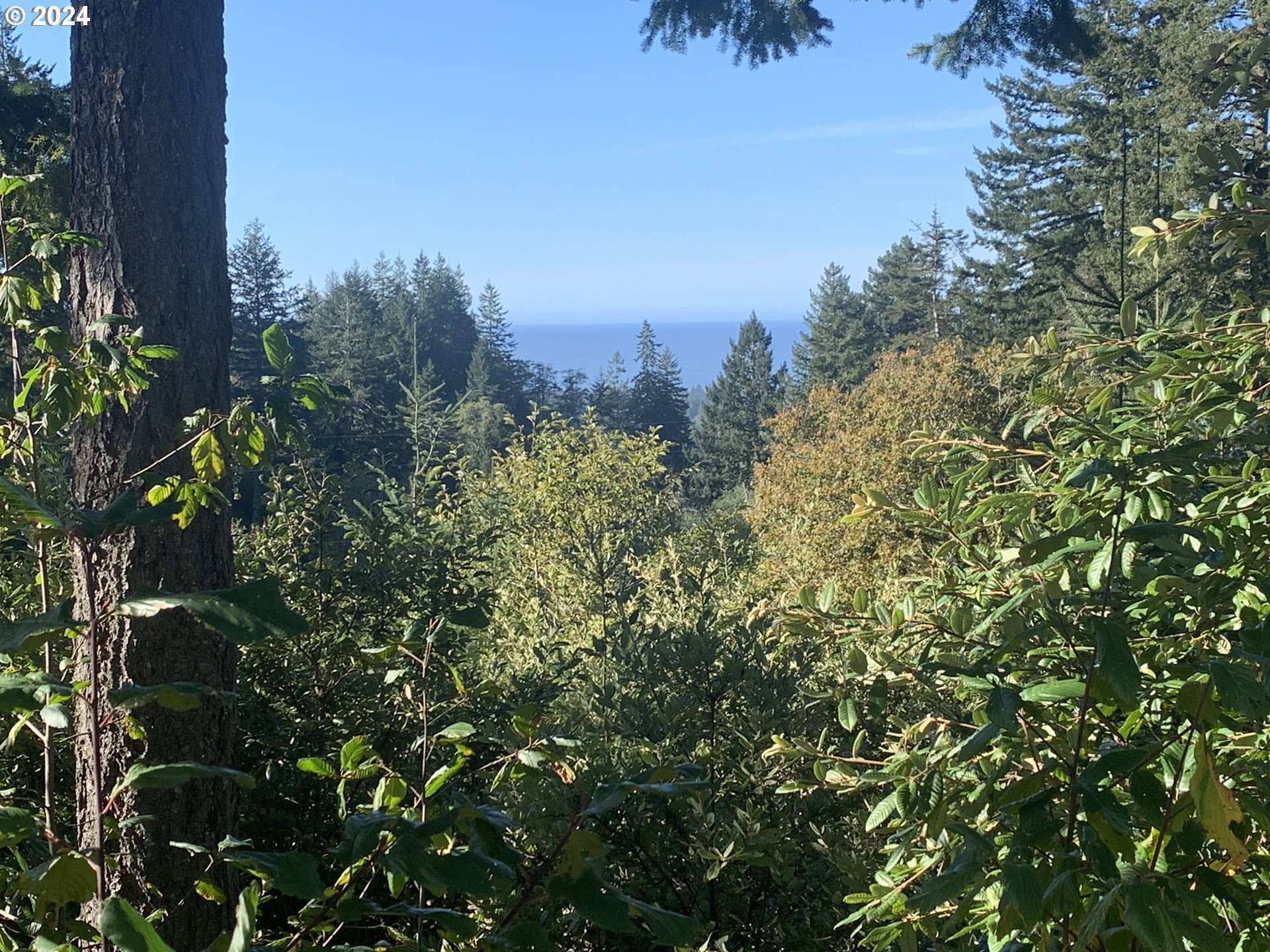 Duley Creek UNIT 501/503, Brookings, OR, 97415
