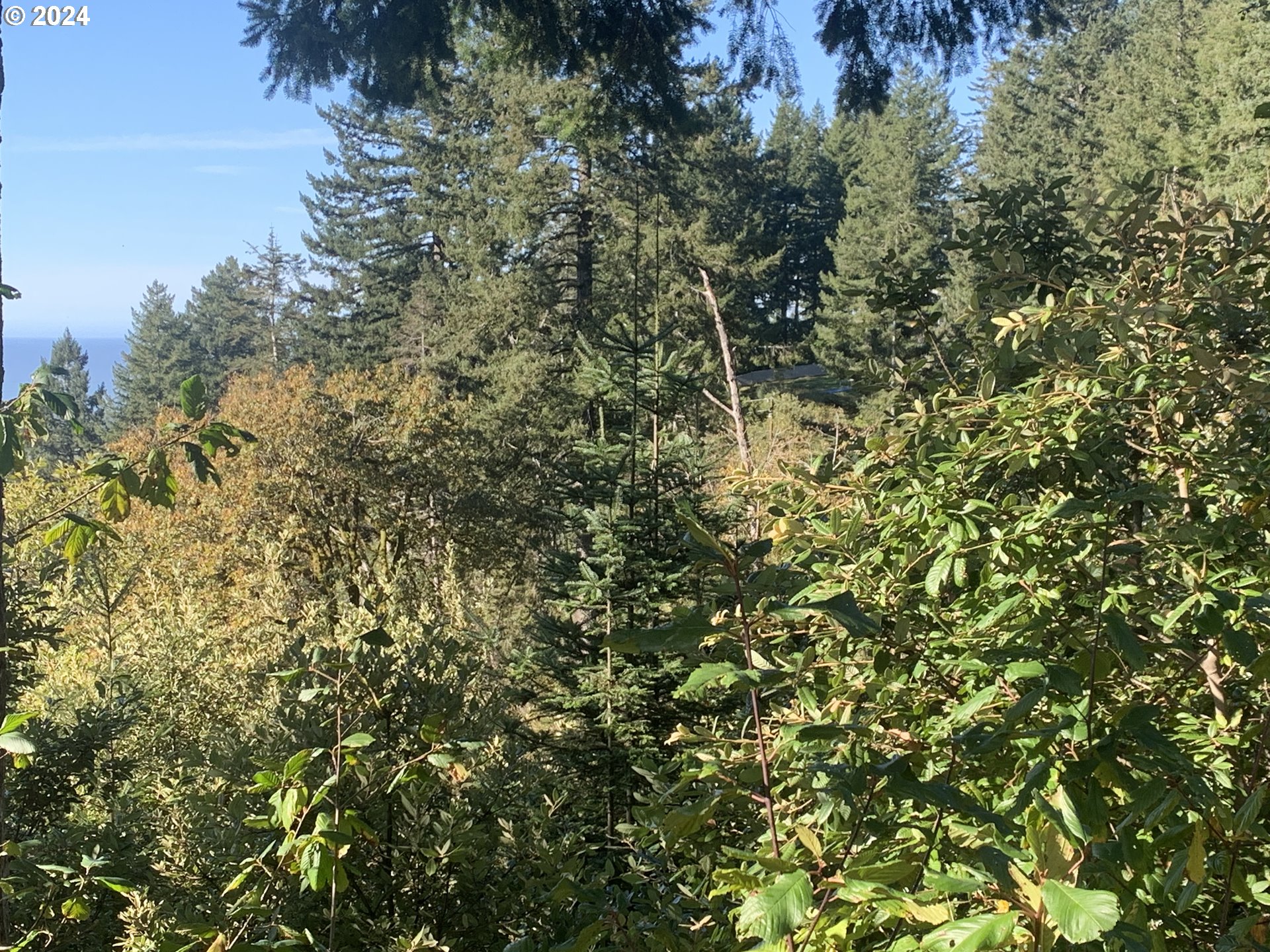 Duley Creek UNIT 501/503, Brookings, OR, 97415