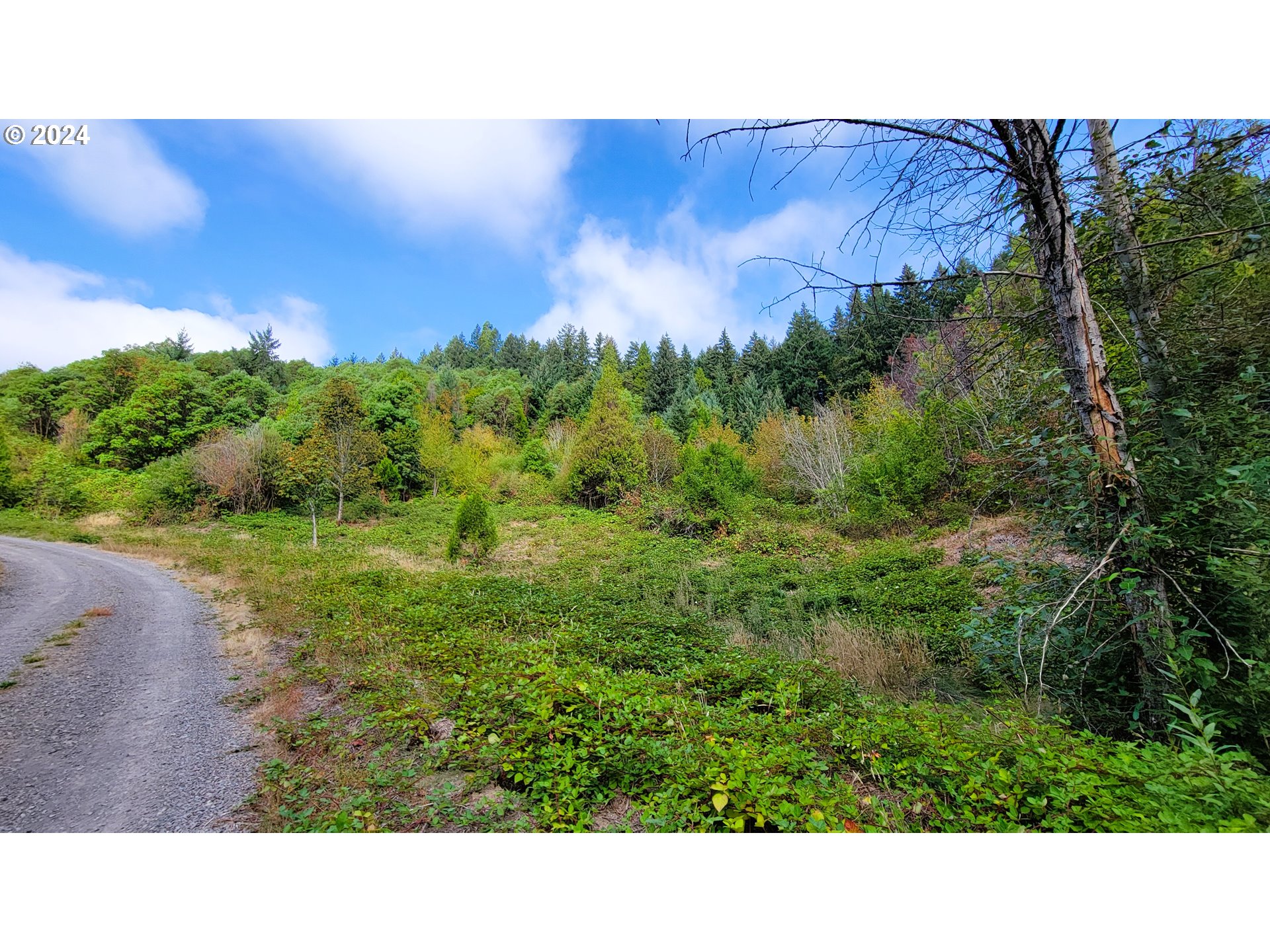 Photo of Laurel Butte Oakridge OR 97463