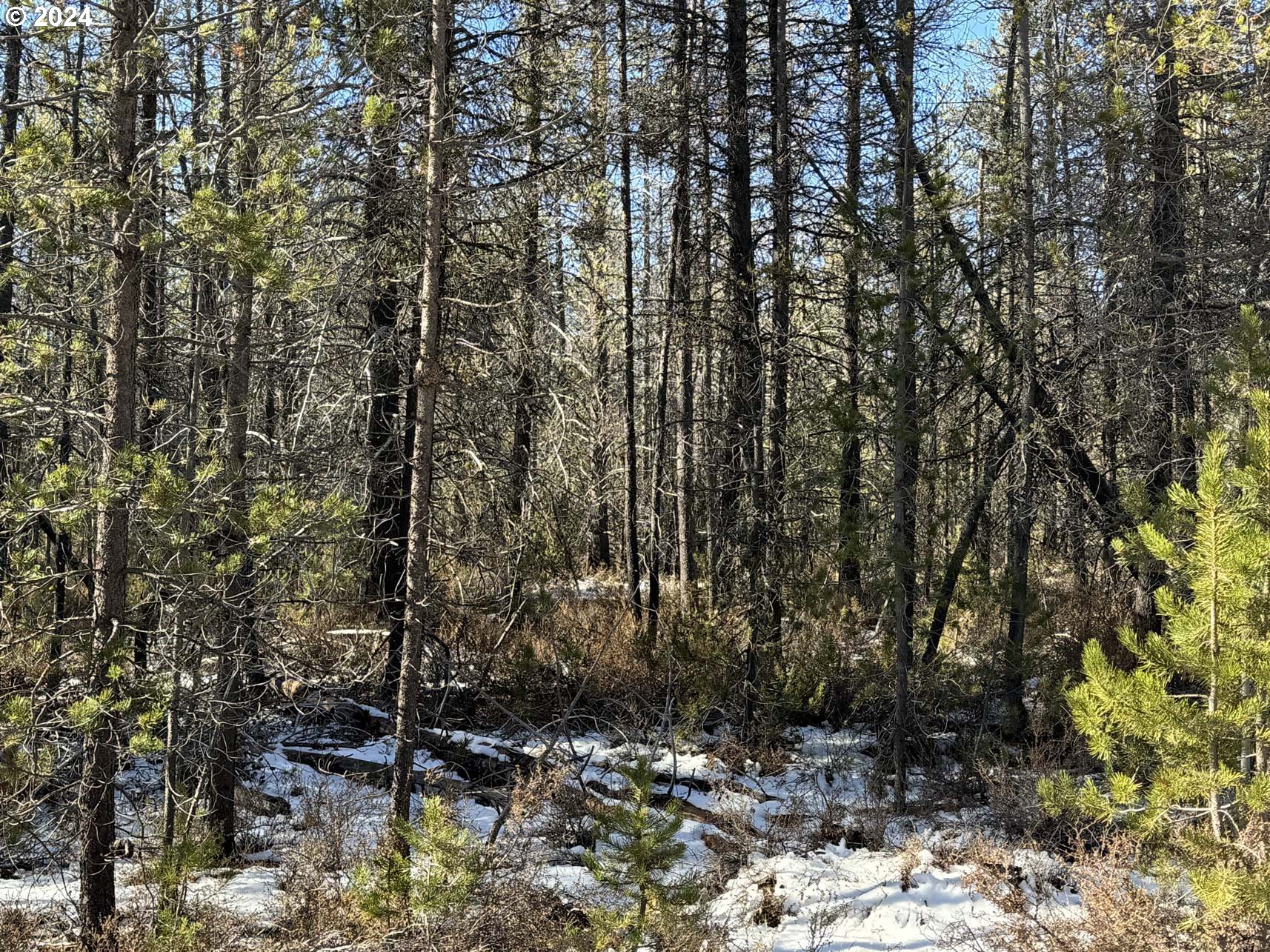 Cloudcap DR UNIT Lot 14, Chiloquin, OR, 97624