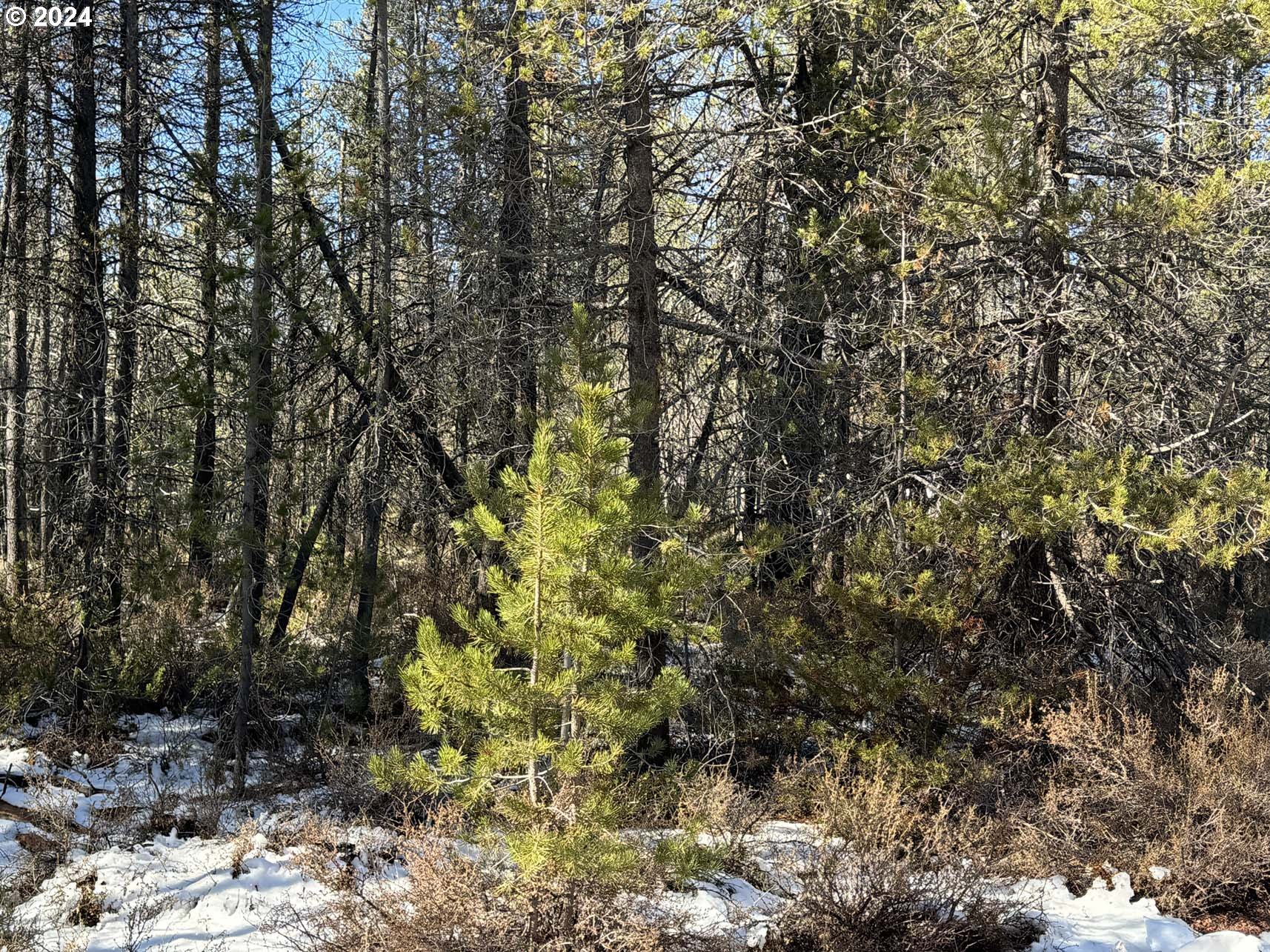 Cloudcap DR UNIT Lot 14, Chiloquin, OR, 97624