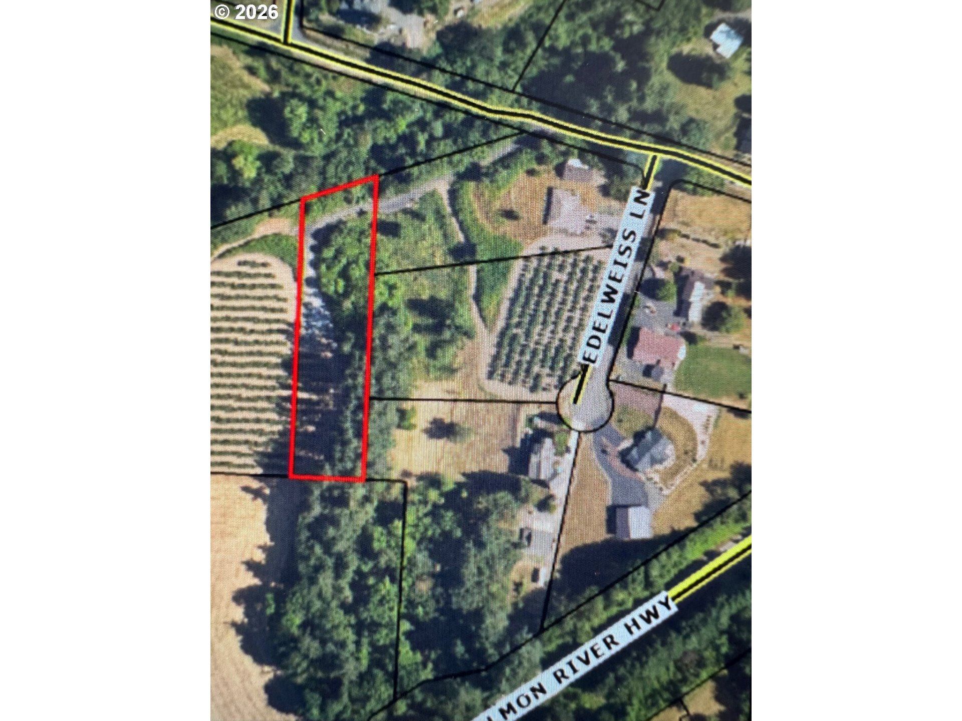 Search Homes for Sale