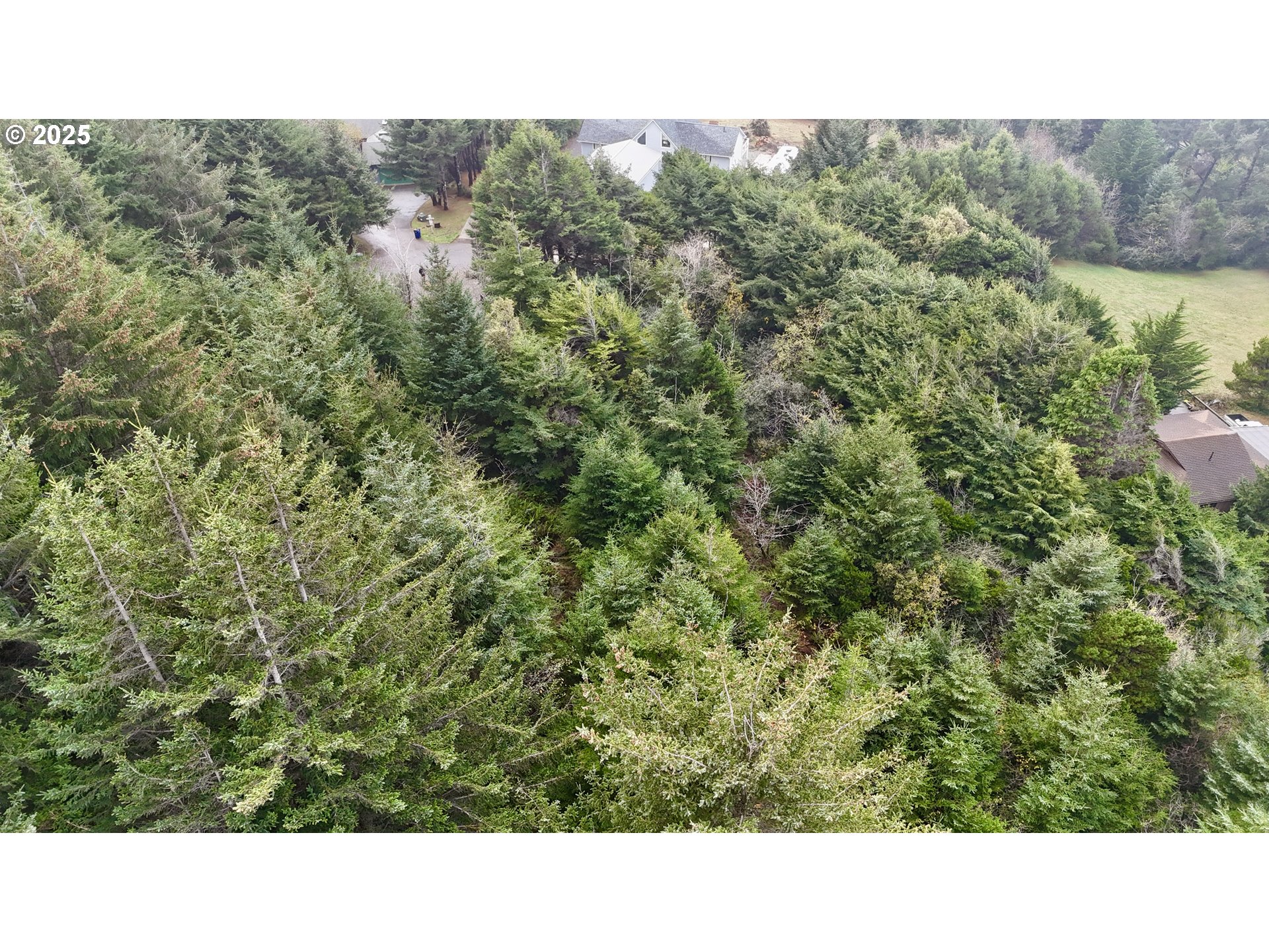 Mutts, Gold Beach, OR, 97444