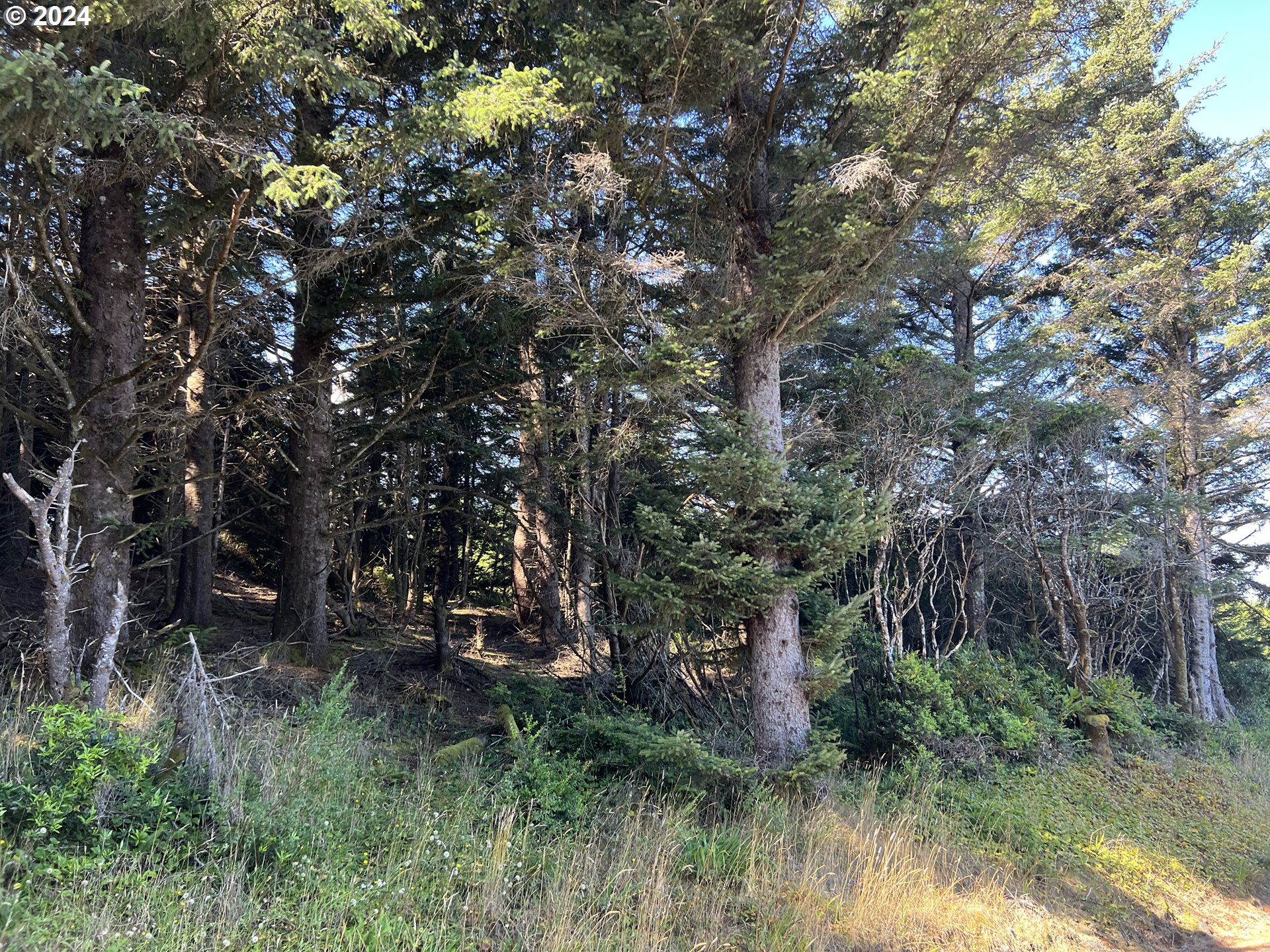 Mutts, Gold Beach, OR, 97444