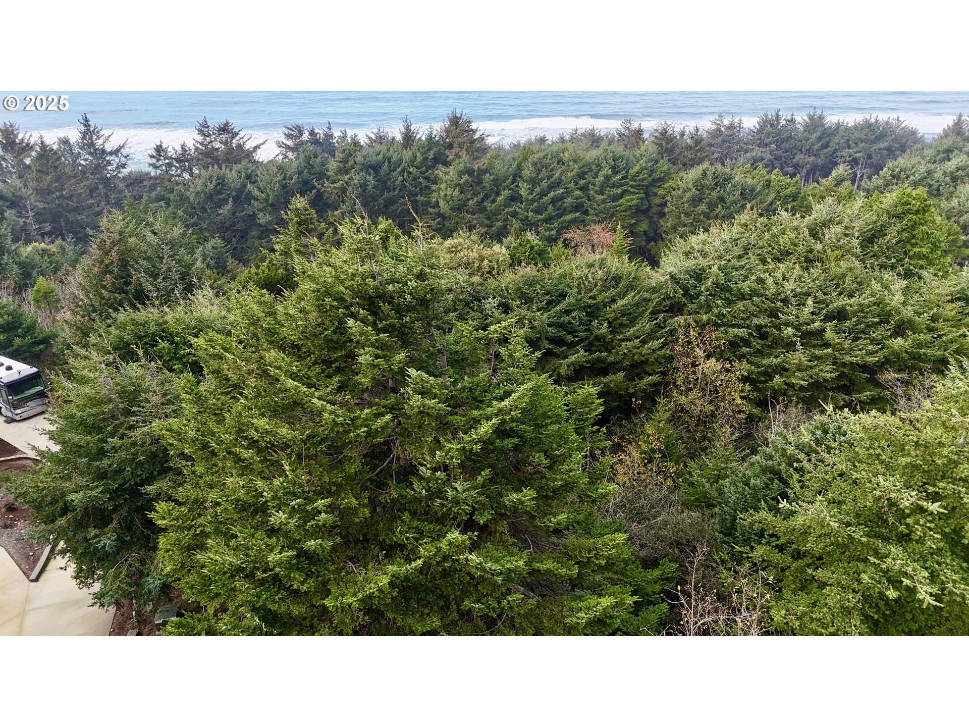 Mutts, Gold Beach, OR, 97444