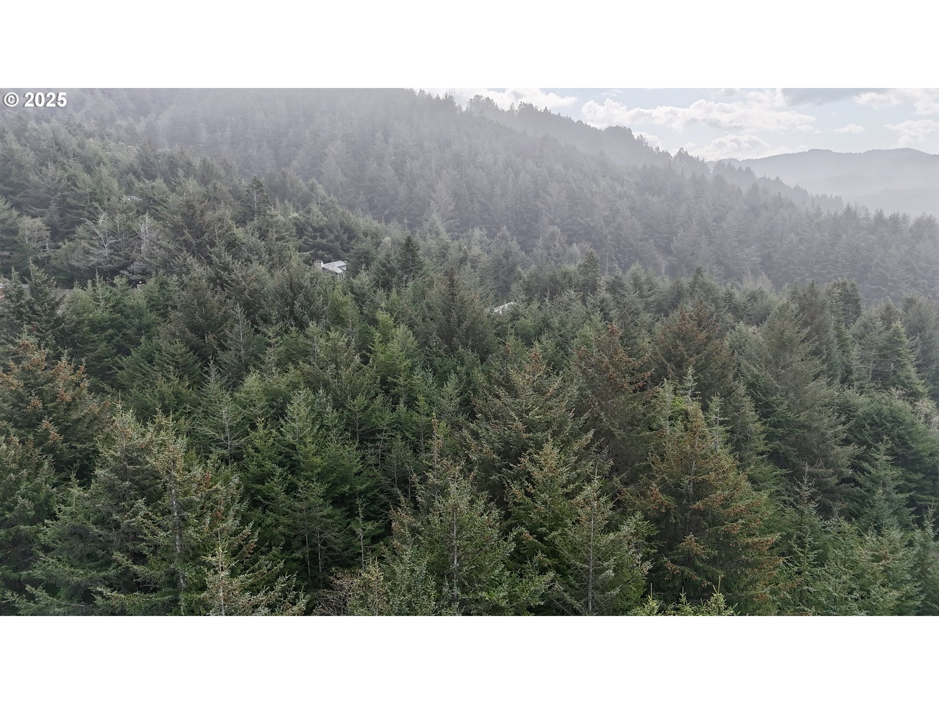 Mutts, Gold Beach, OR, 97444