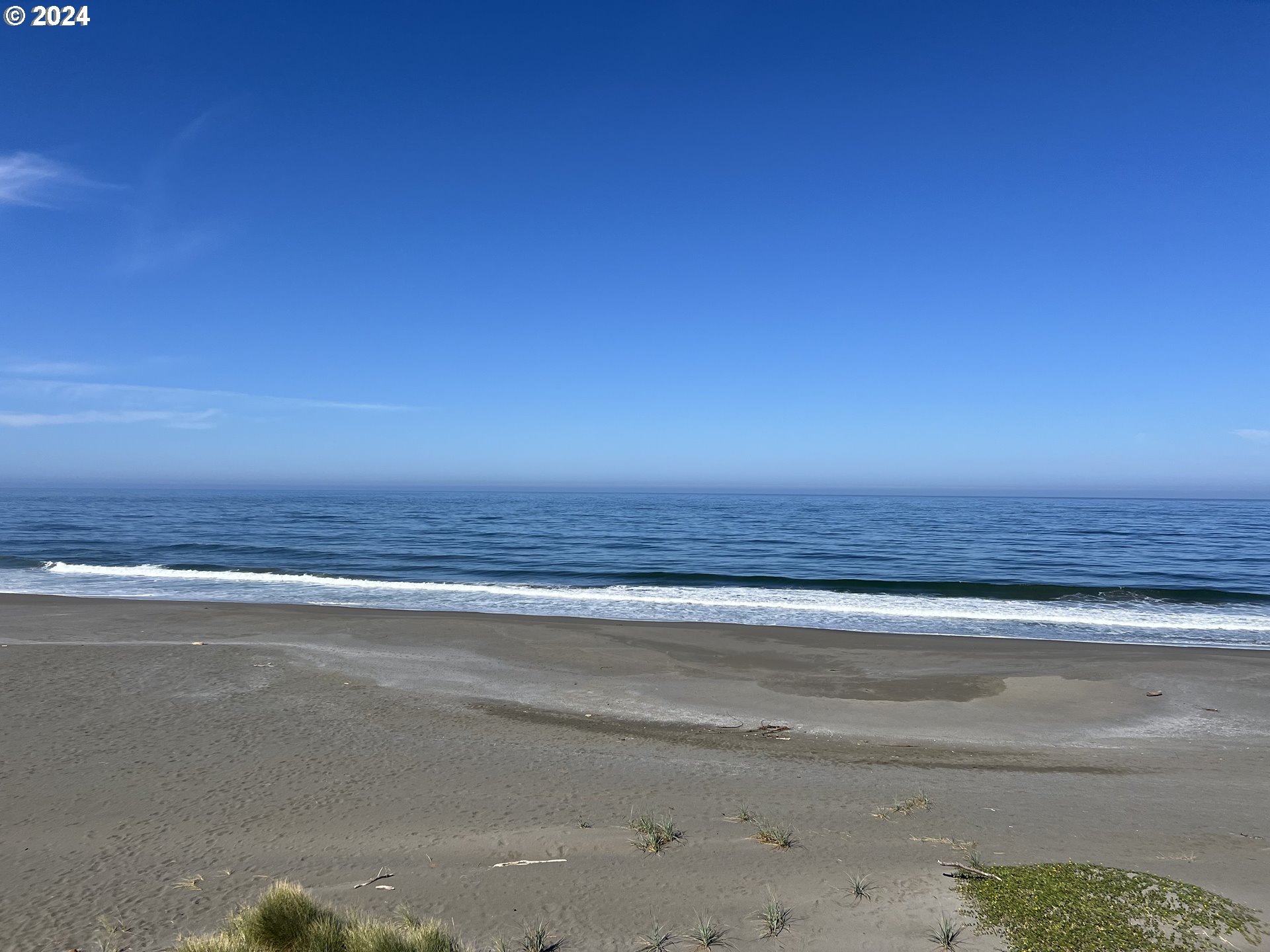 Mutts, Gold Beach, OR, 97444