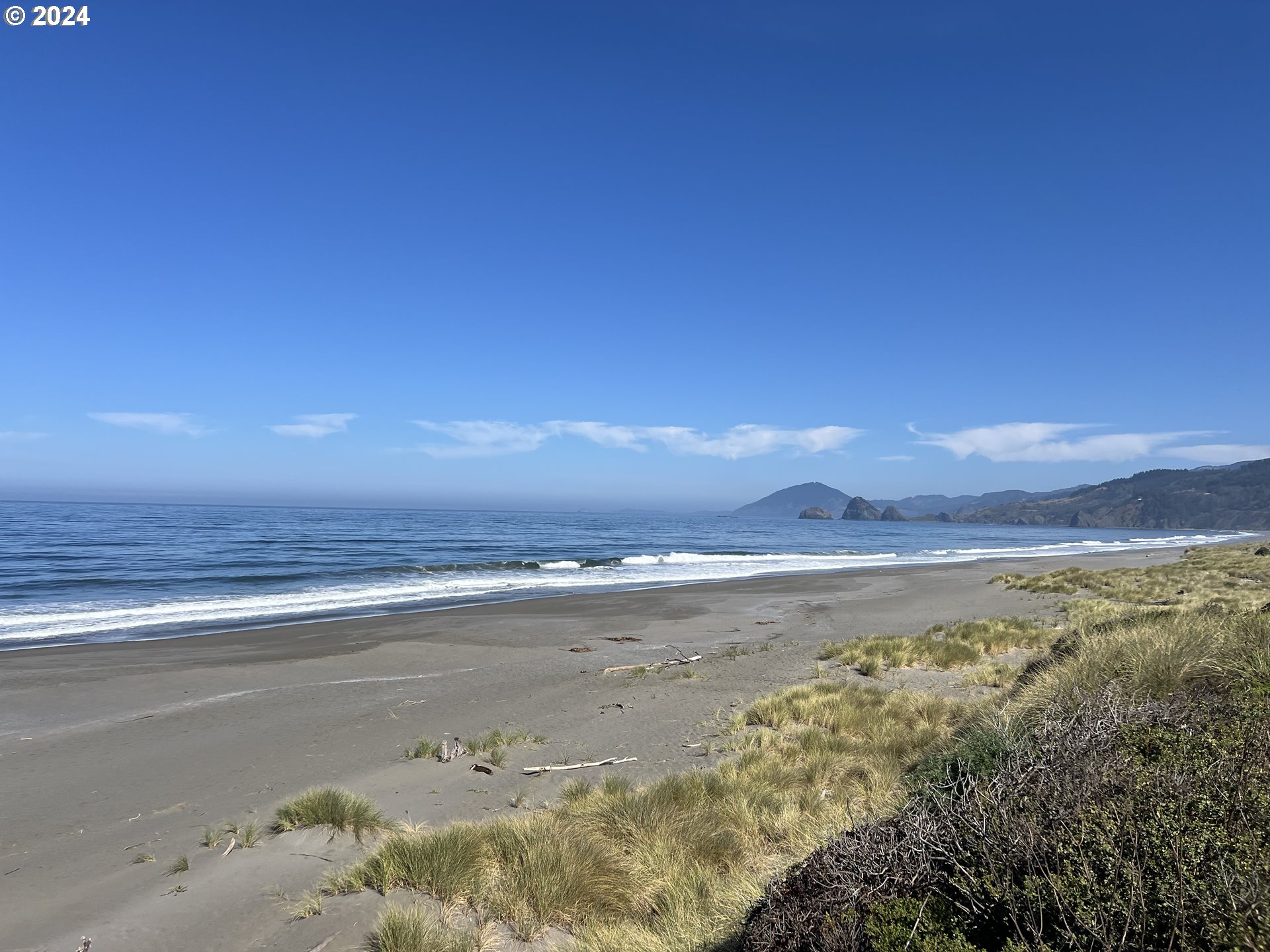 Mutts, Gold Beach, OR, 97444