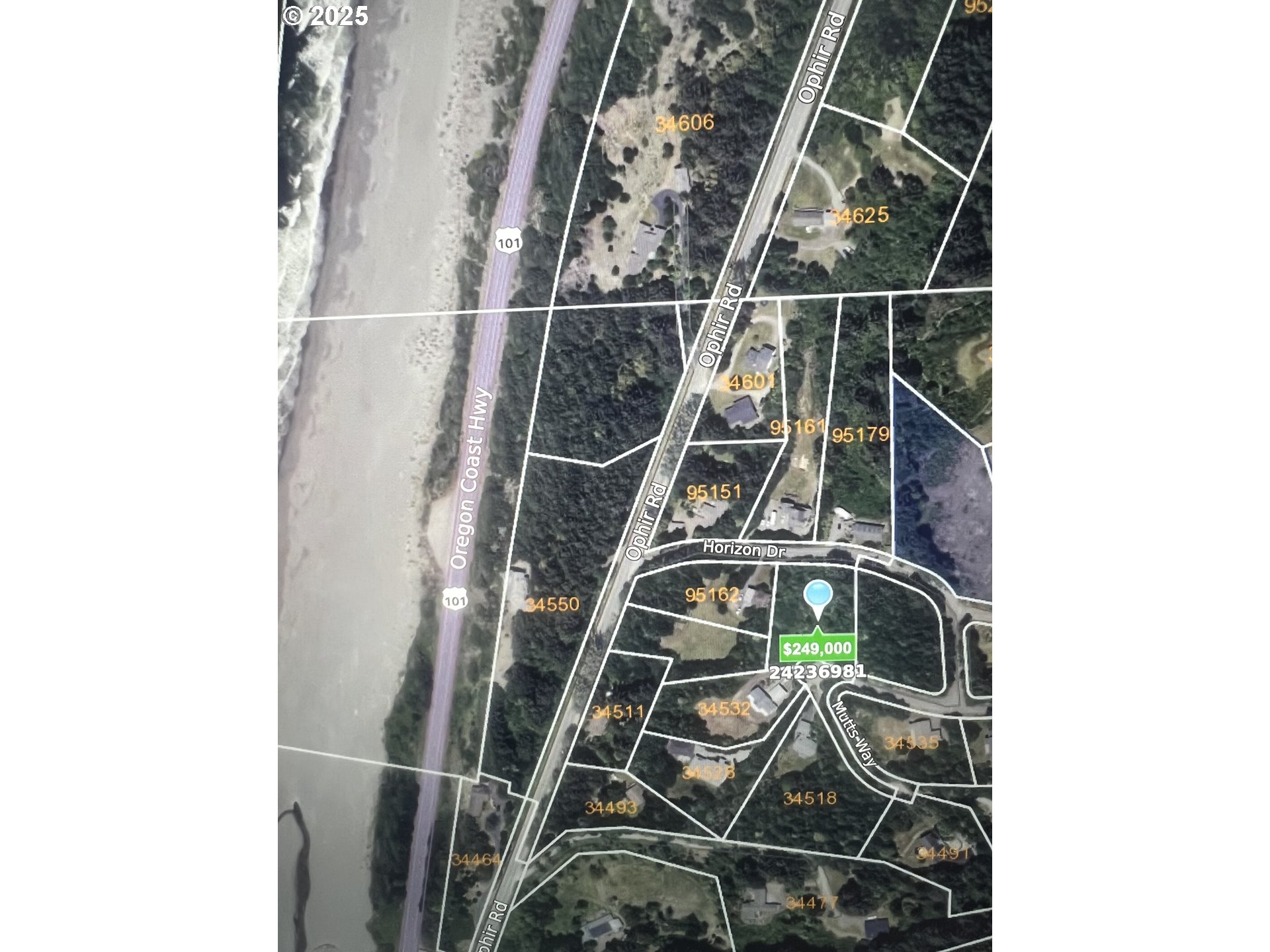 Mutts, Gold Beach, OR, 97444