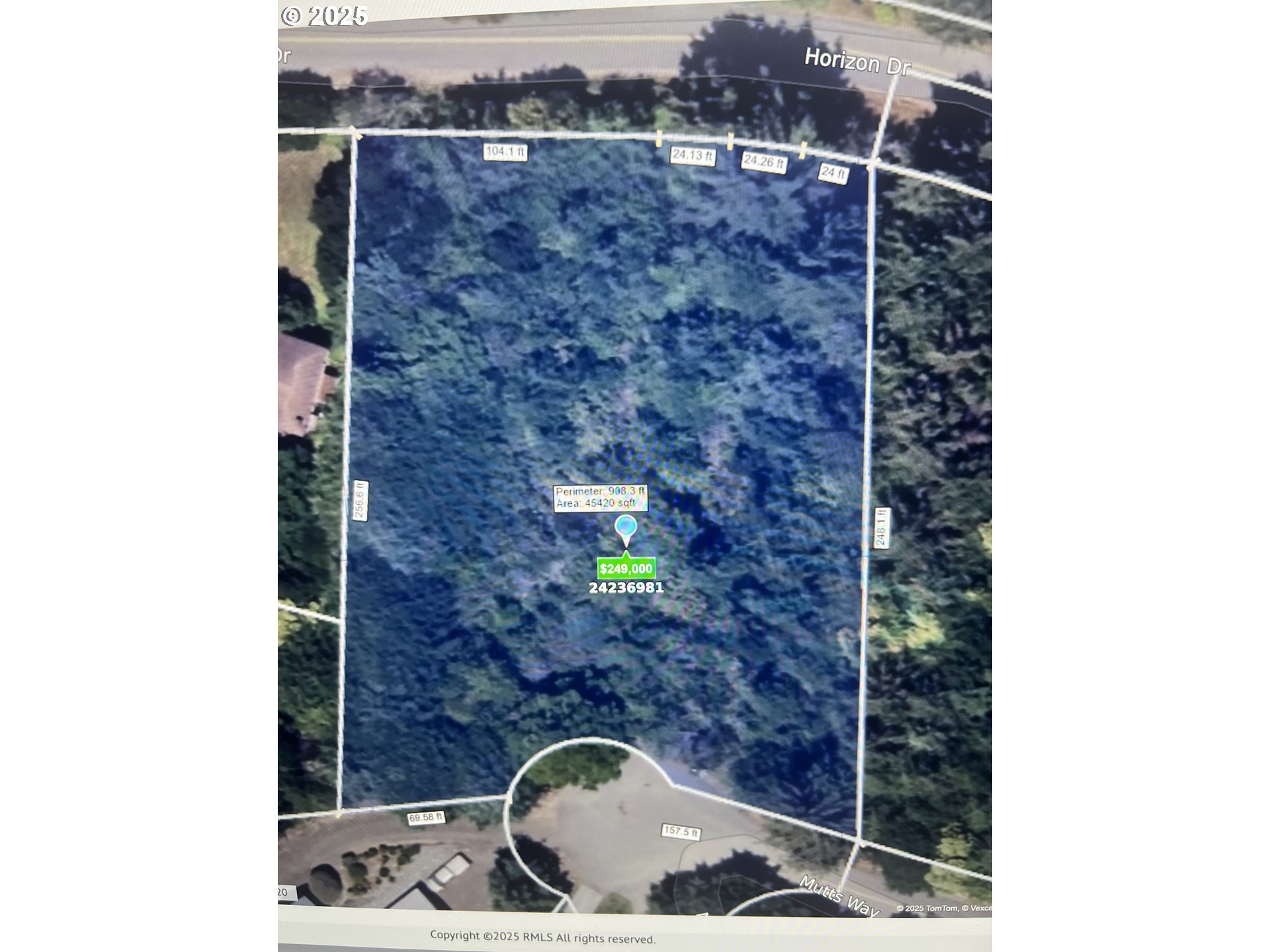 Mutts, Gold Beach, OR, 97444