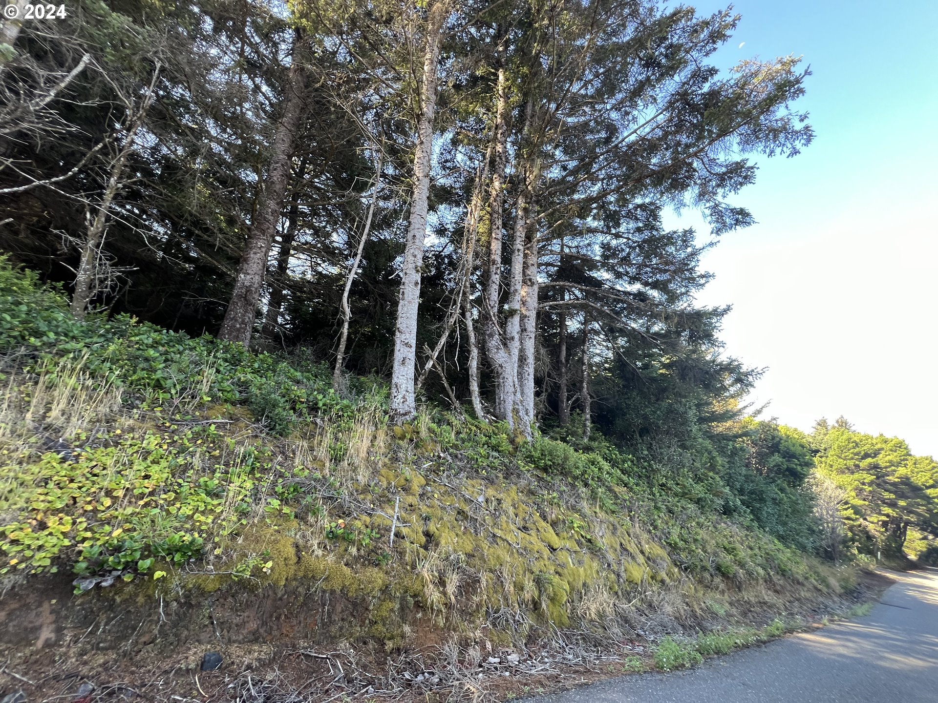 Mutts, Gold Beach, OR, 97444