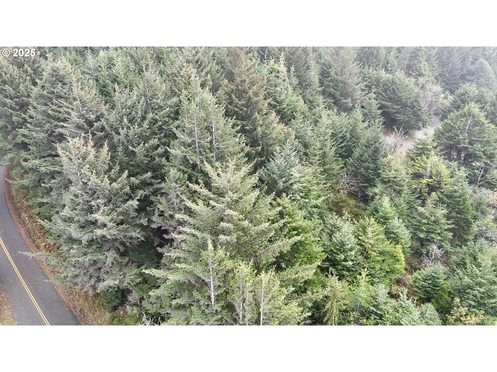 Mutts, Gold Beach, OR, 97444