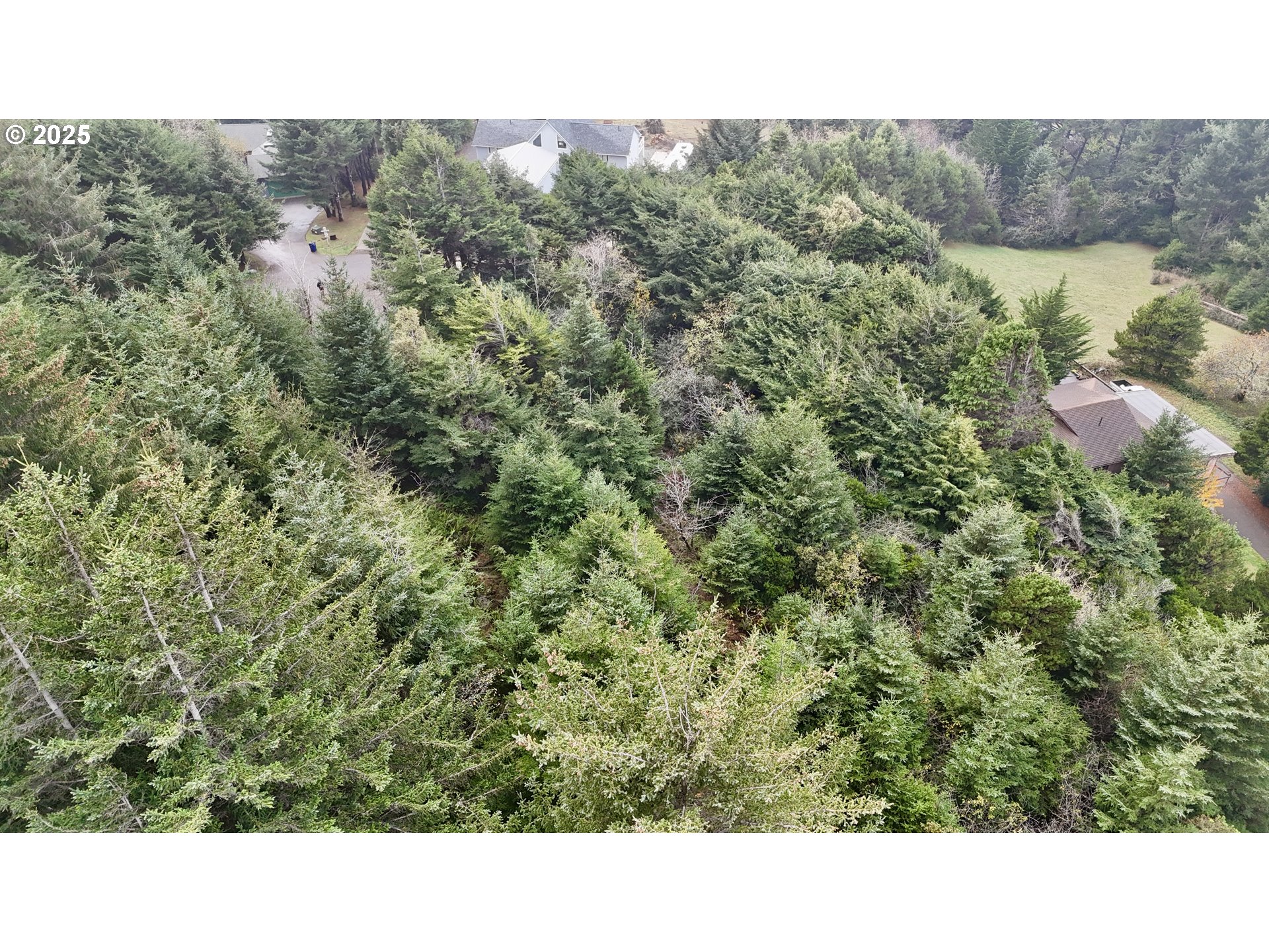 Mutts, Gold Beach, OR, 97444