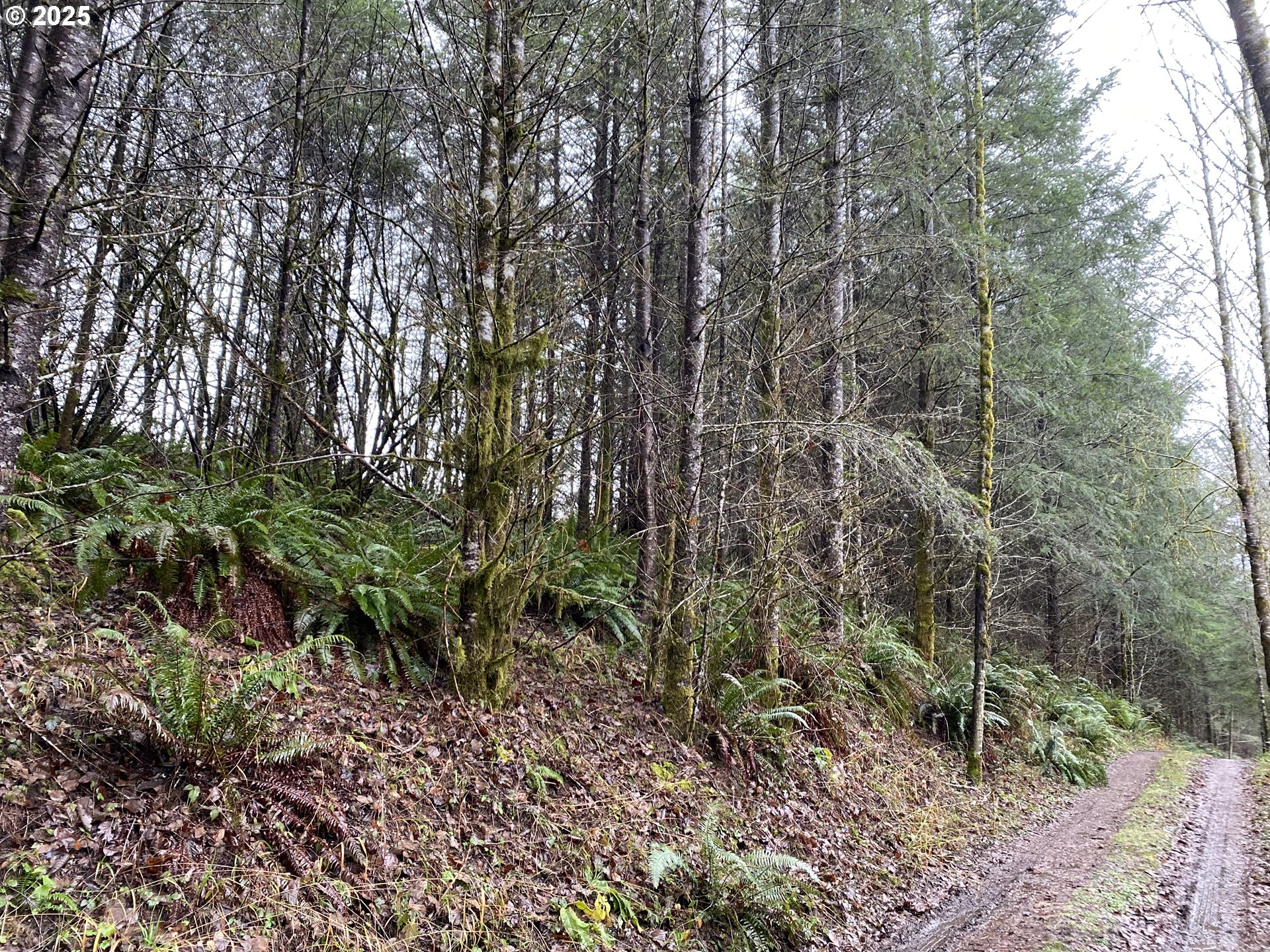 Photo of 0 BUNCOMBE HOLLOW RD Woodland WA 98674