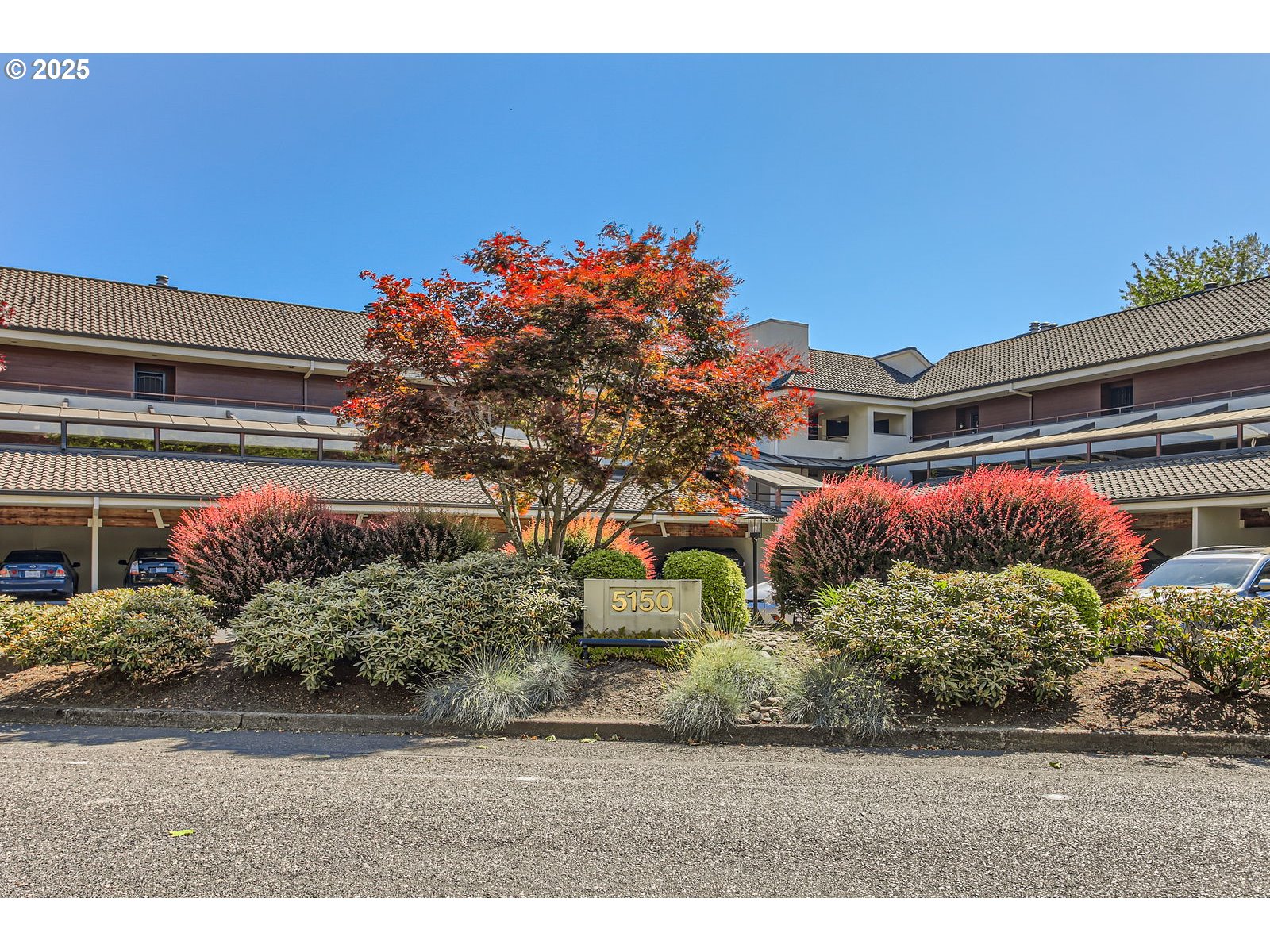 Photo #3: 242484602 Listing 