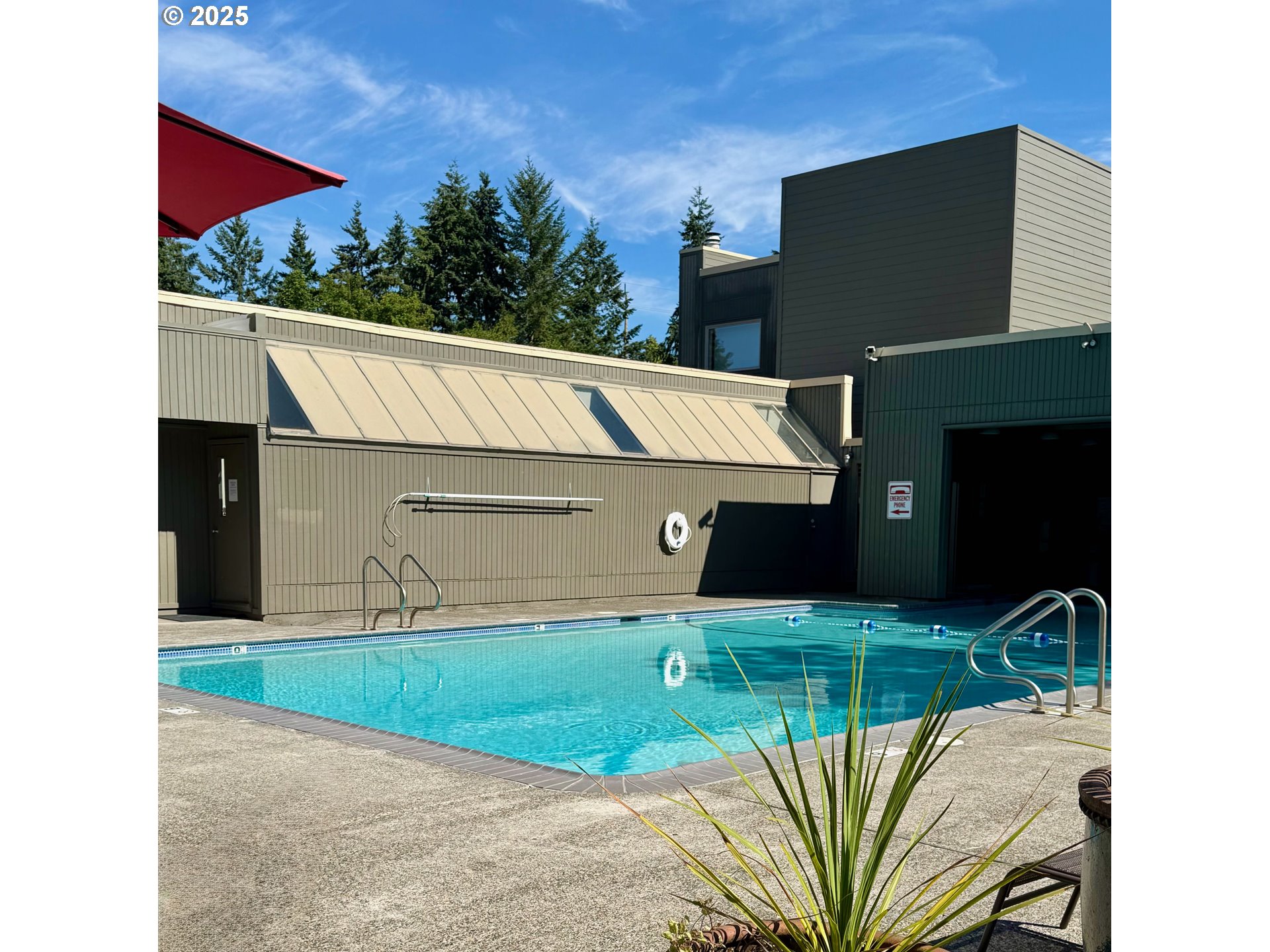 Photo #38: 242518978 Listing: Photo #38